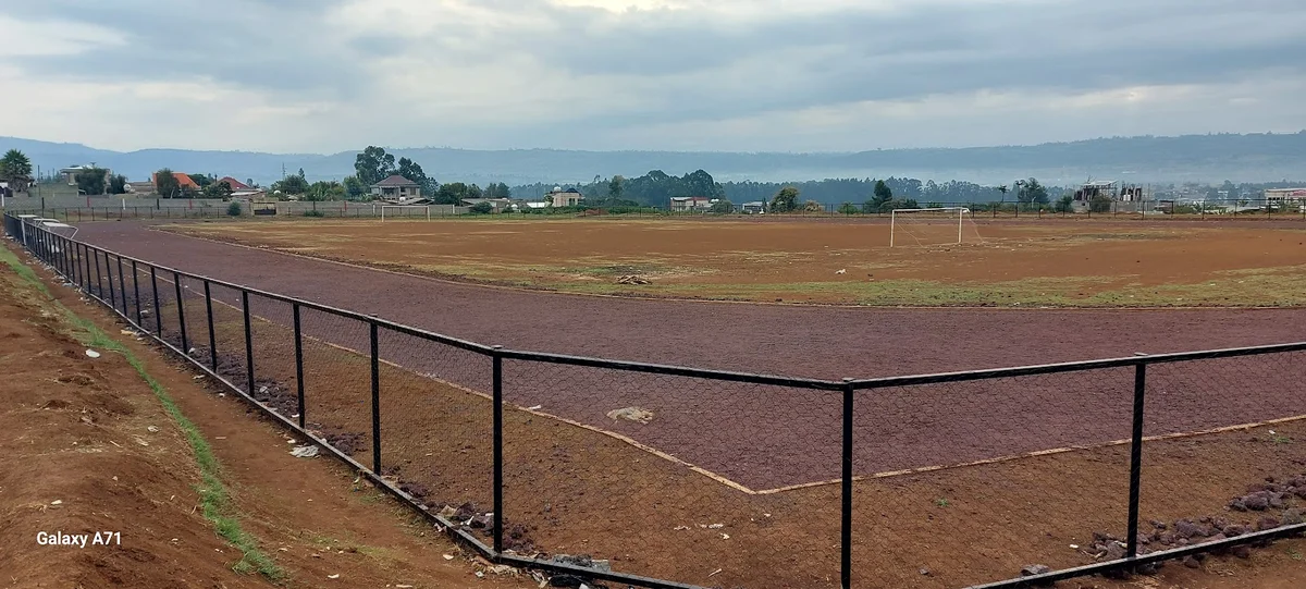 Holeta Stadium- የሆለታ ከተማ እስቴድየም - Ask AI | mindtrip