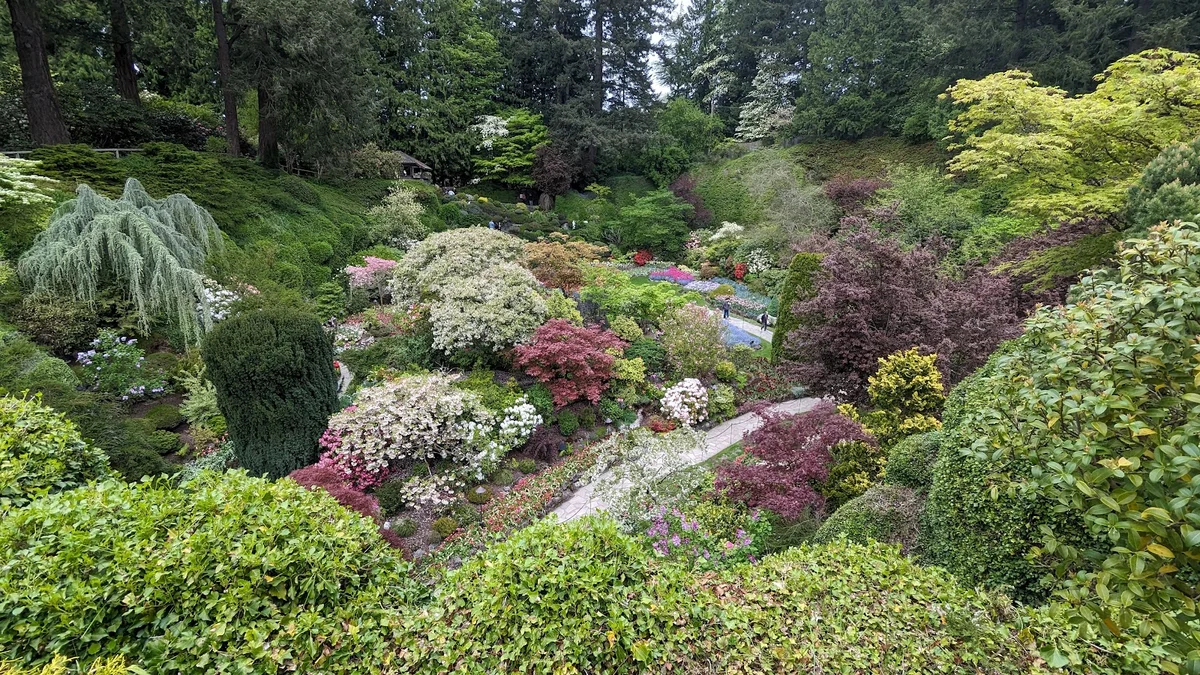 Butchart Gardens Coffee Shop - Ask AI | mindtrip