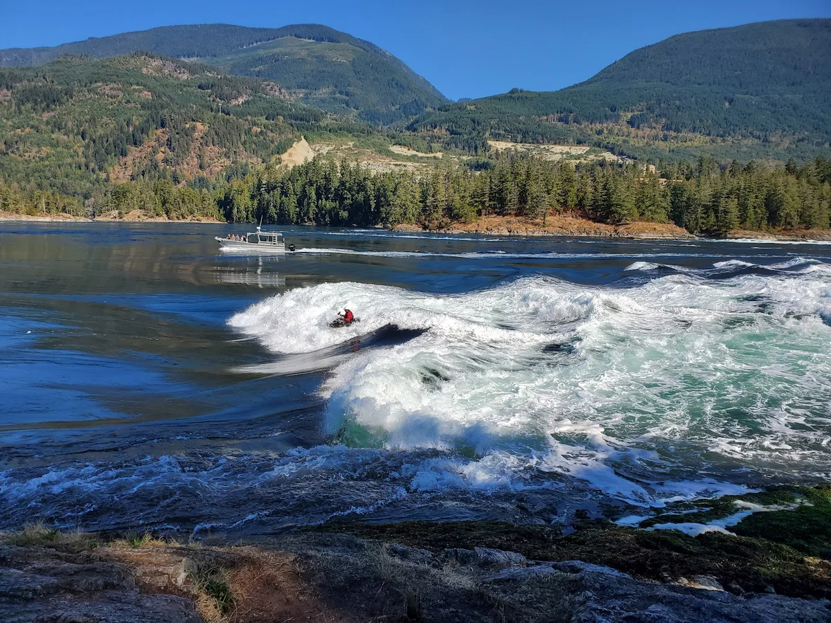 Roland Point Viewing Area | What to Know Before You Go