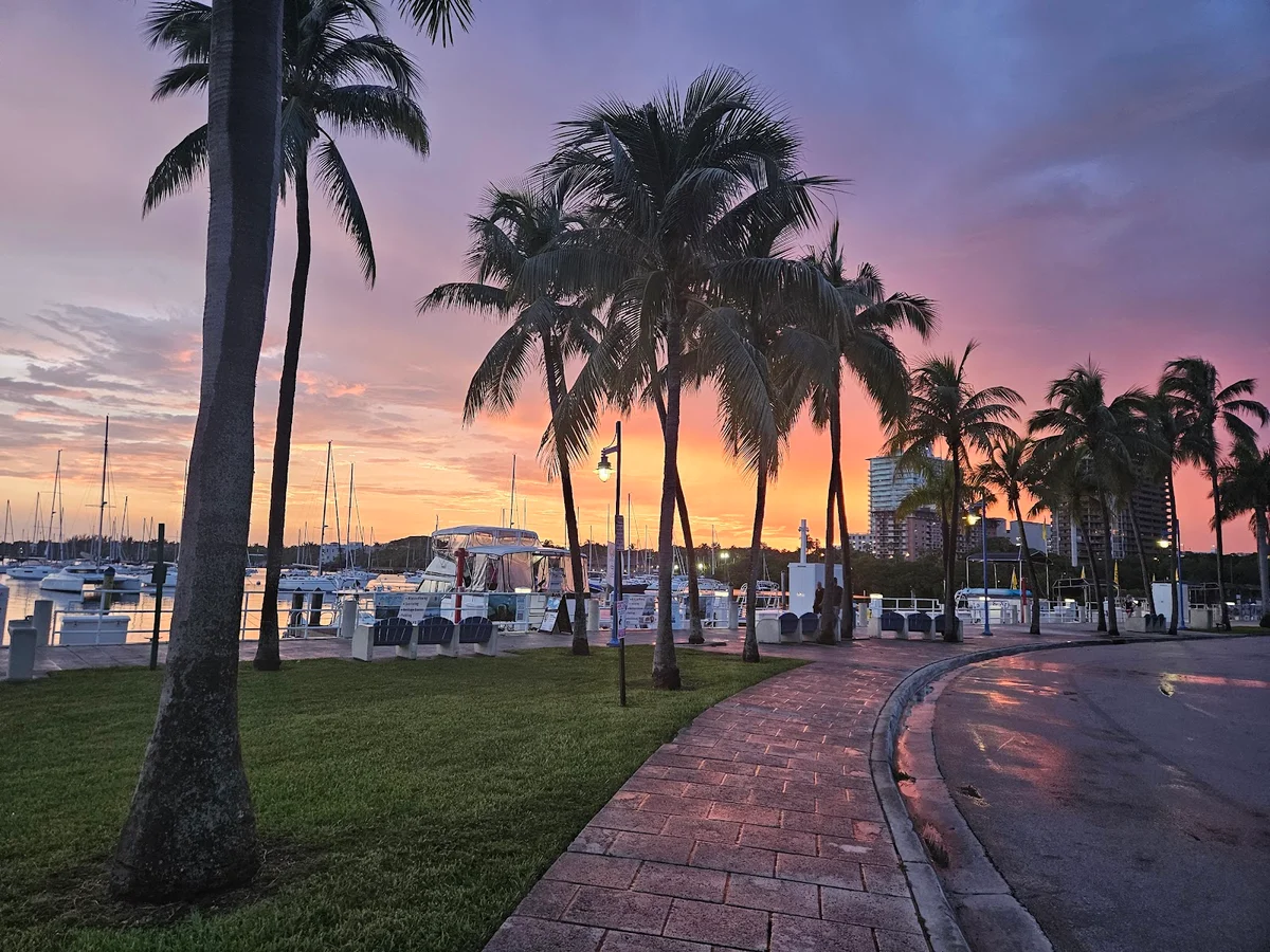 Dinner Key Marina in Miami | What to Know Before You Go