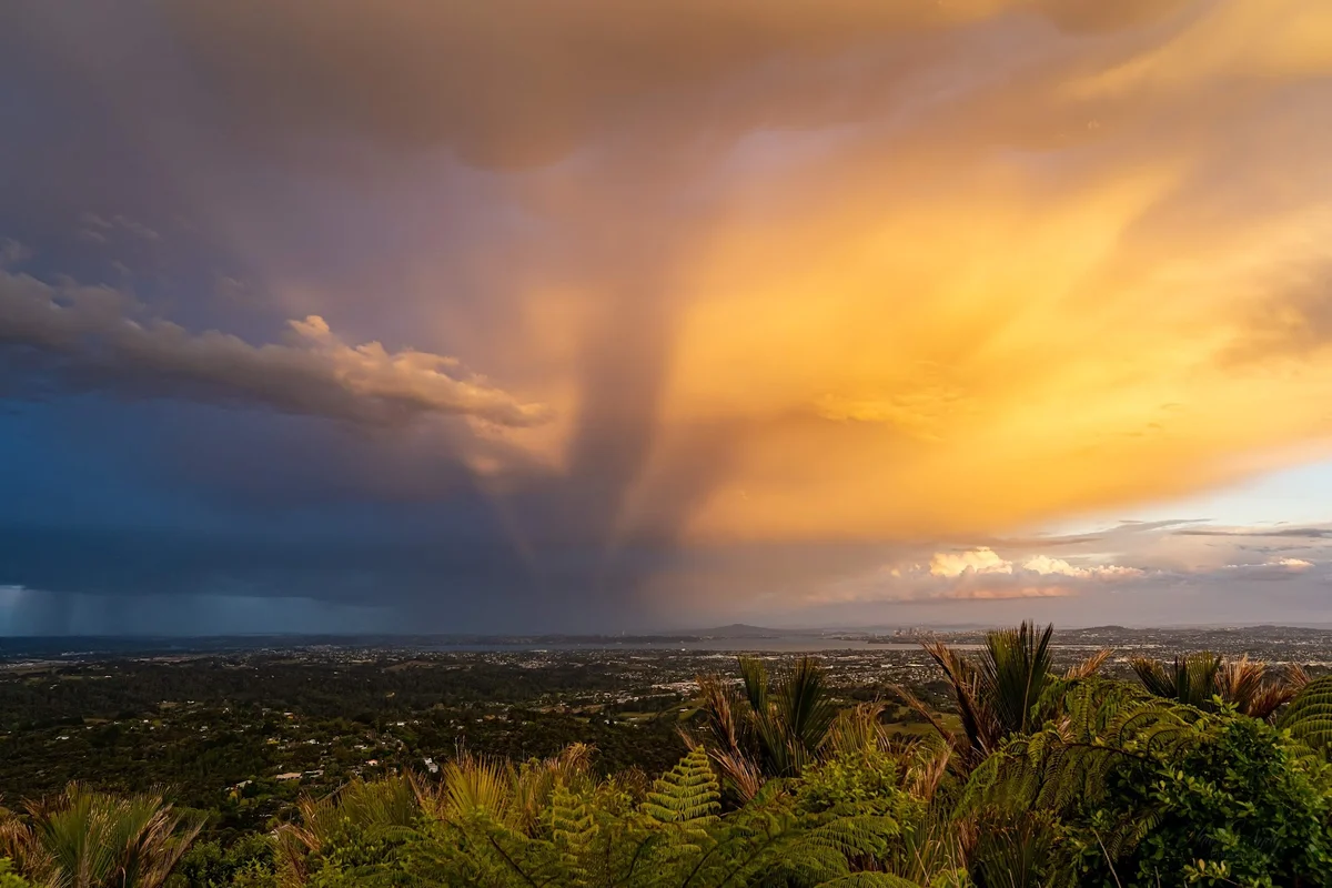 Pukematekeo Lookout in Waitakere City - Ask AI | mindtrip