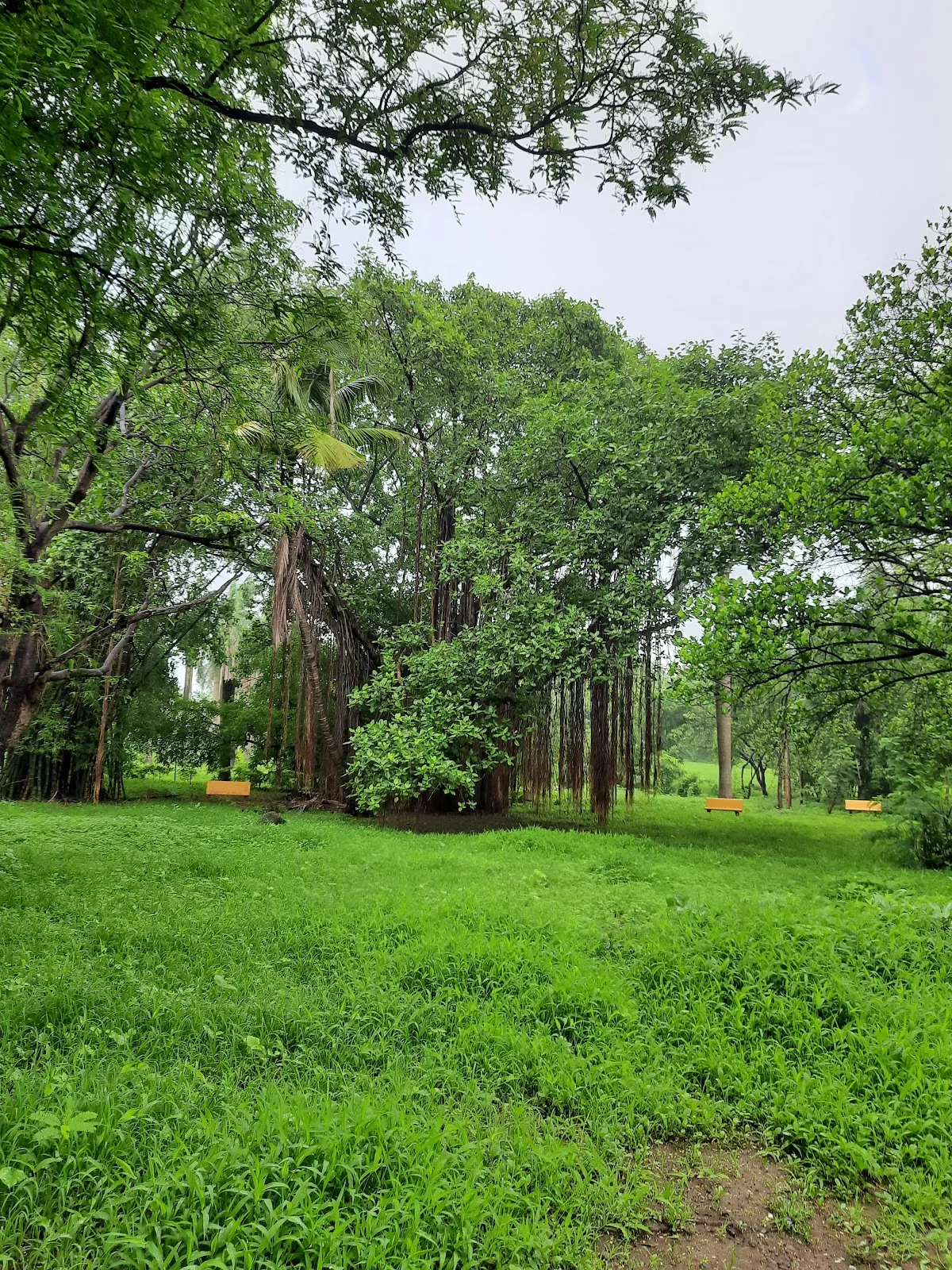 Sagar Upvan Garden in Mumbai, Maharashtra | Ask Anything