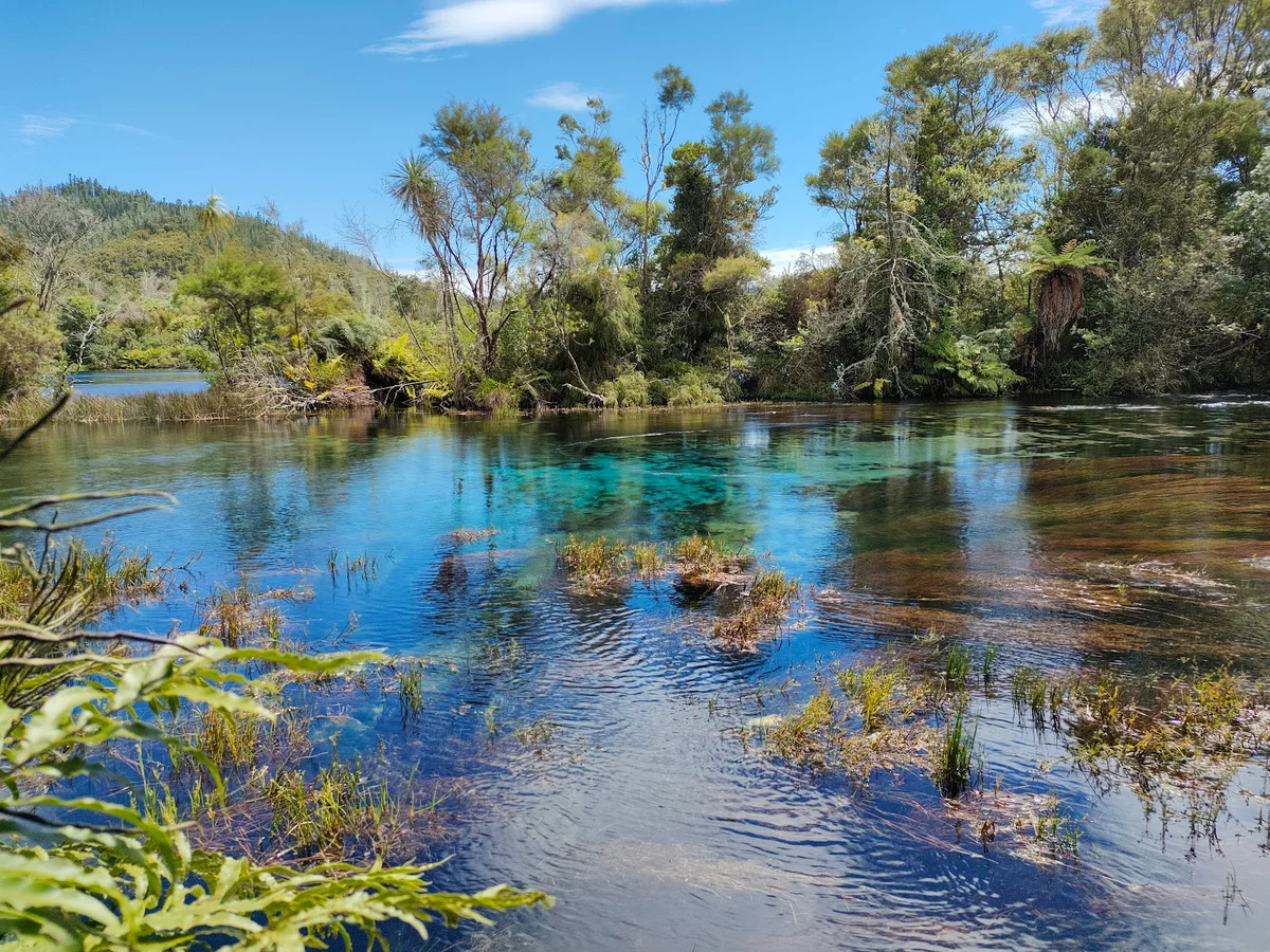 Te Waikoropupu Springs Scenic Reserve - Ask AI | mindtrip