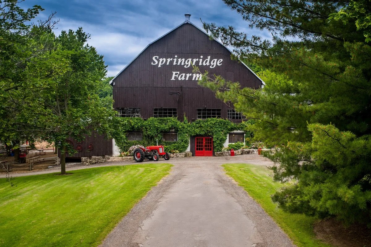 Springridge Farm in Milton | What to Know Before You Go