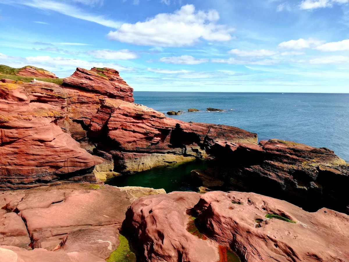 seaton-cliffs-nature-reserve-in-arbroath-ask-ai-mindtrip