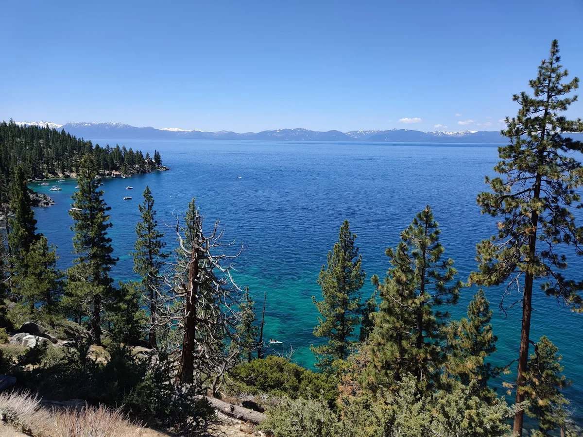 Humboldt-Toiyabe National Forest in Nevada | Ask Anything