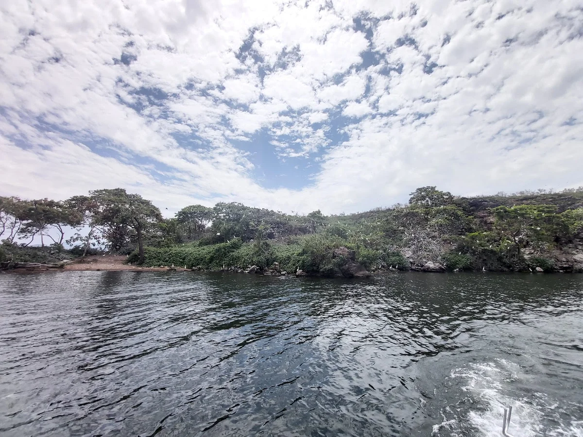 Mbasa Island in Mbita, Homa Bay County - Ask AI | mindtrip