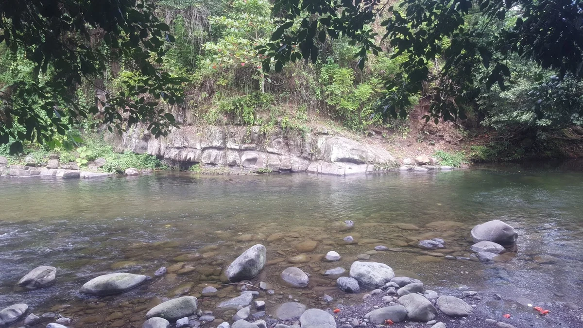 Buff Bay River in Buff Bay | What to Know Before You Go