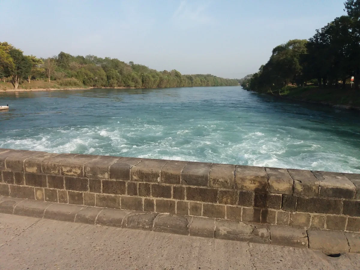 Ropar Wetland in Rail, Punjab - Ask AI | mindtrip