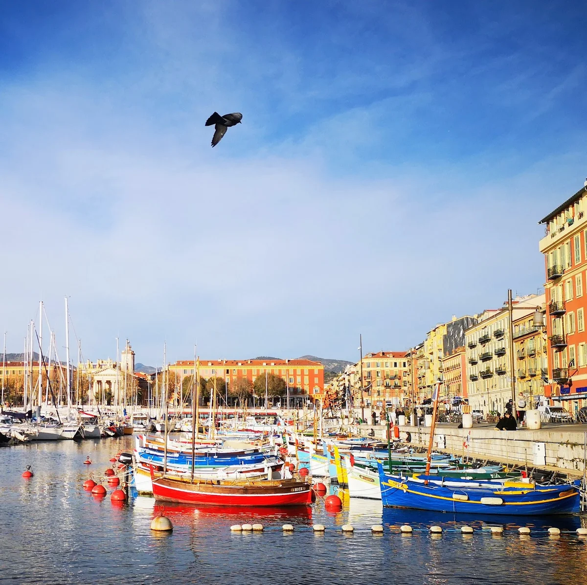 Corsica Ferries Nice in Nice | Ask Anything