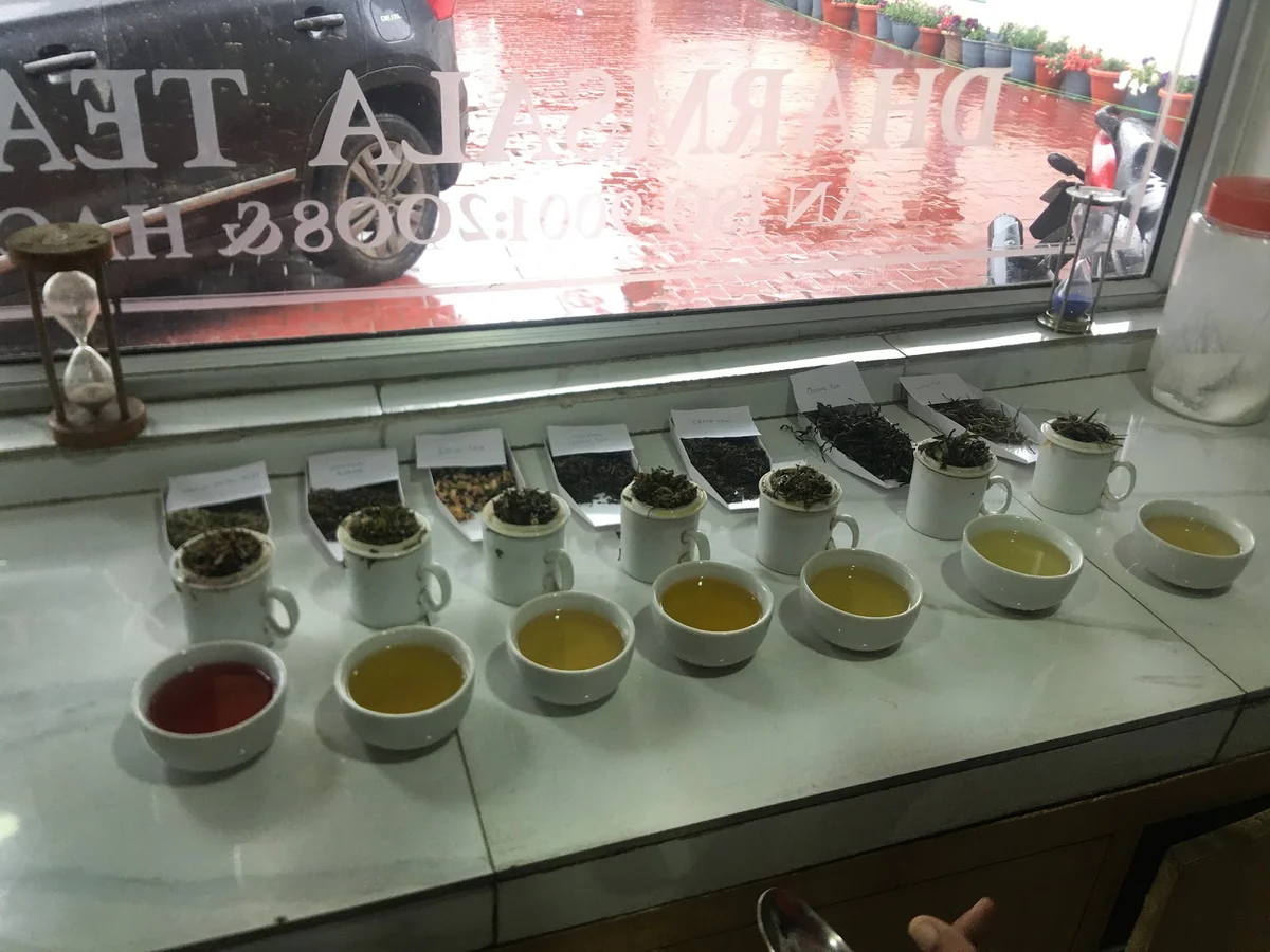 DHARMSALA TEA COMPANY | What to Know Before You Go