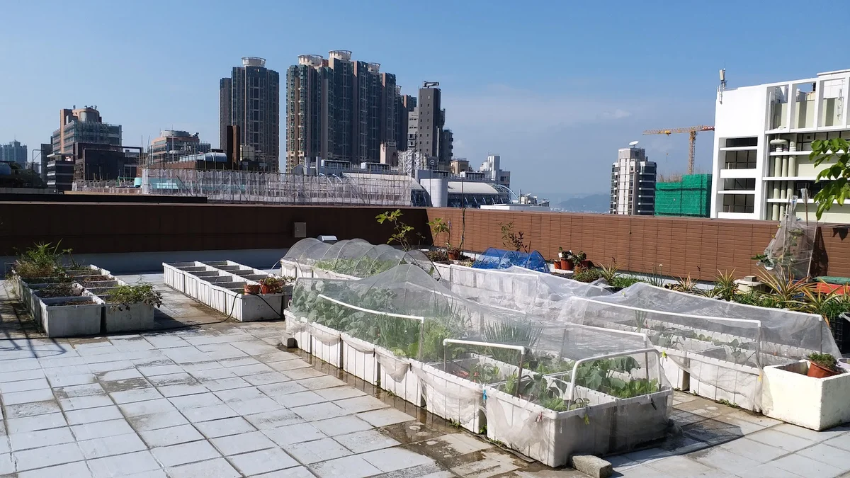 Runme Shaw Building in Hong Kong - Ask AI | mindtrip