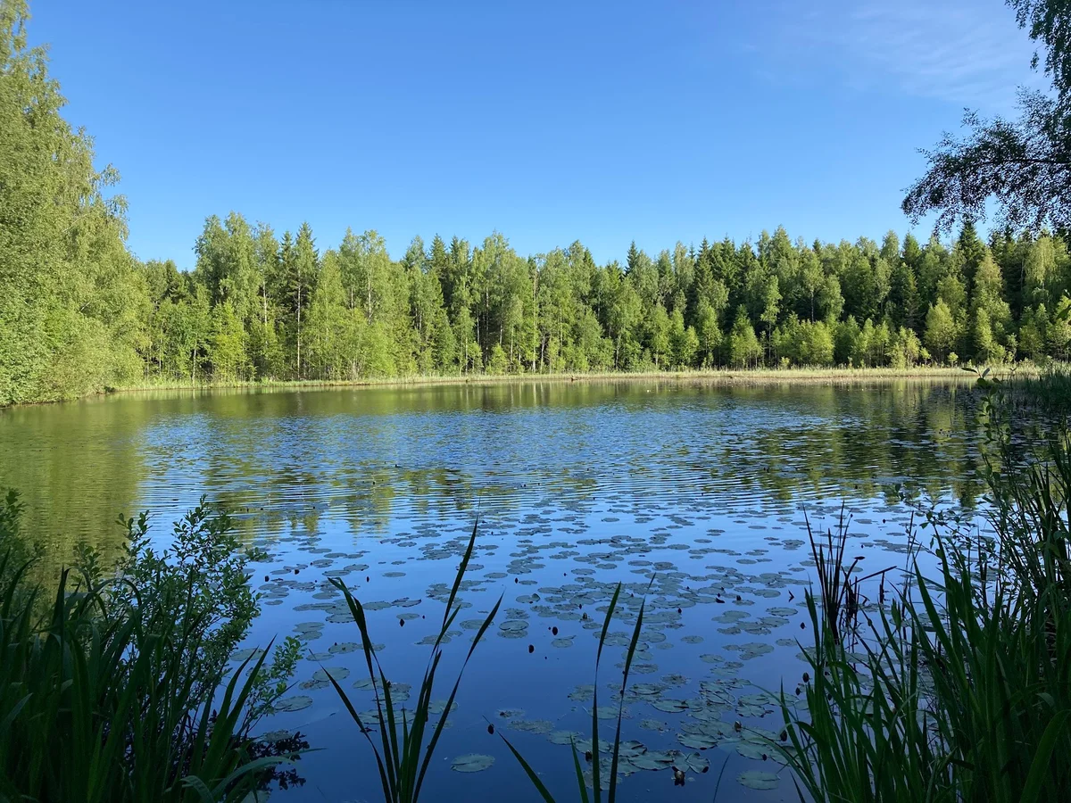 Sundsbergsleden in Sunne, Värmlands län | Ask Anything