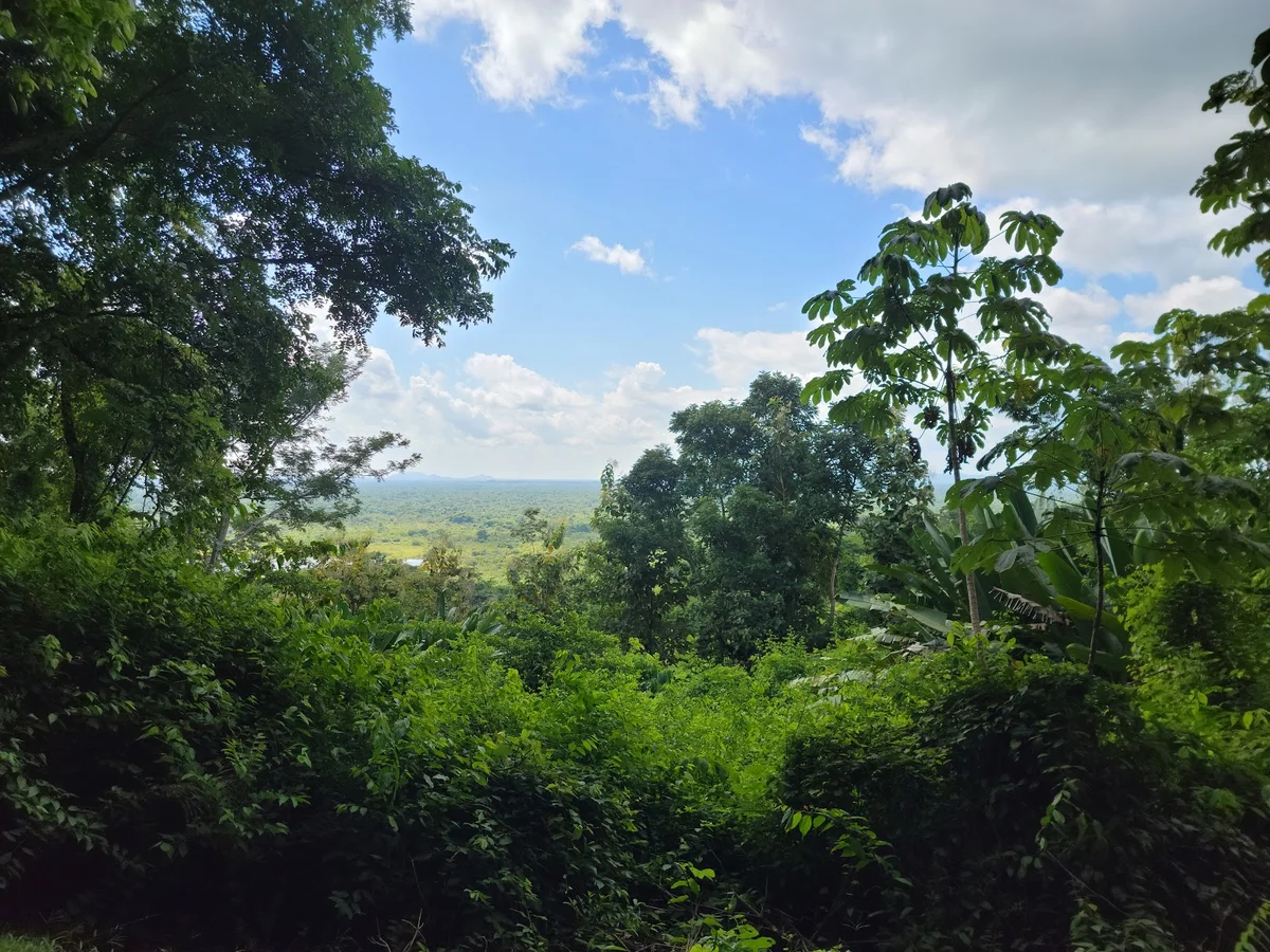 Nim Li Punit Archaeological Reserve | Ask Anything