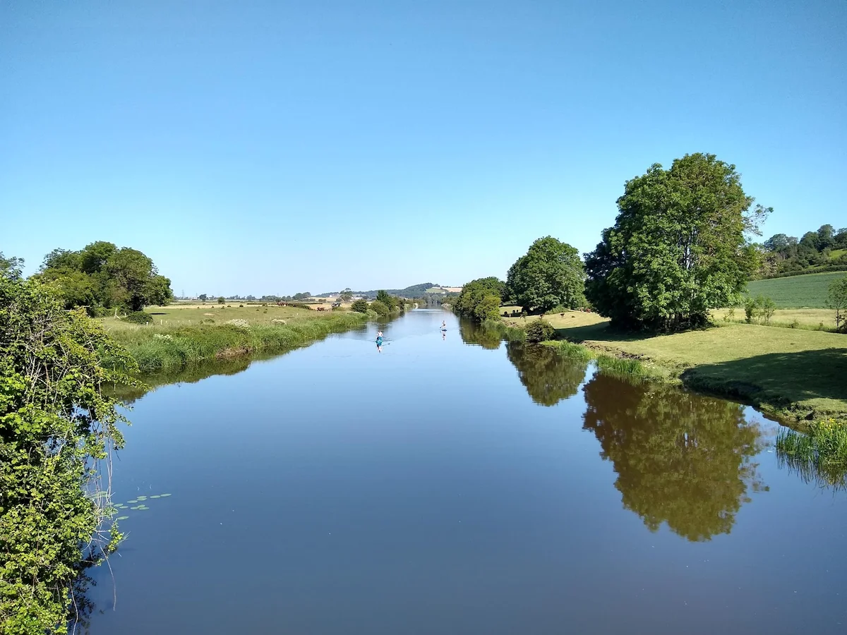 King Sedge Parchey Bridge in Stawell - Ask AI | mindtrip