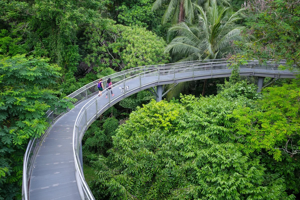 Southern Ridges in Singapore - Ask AI | mindtrip
