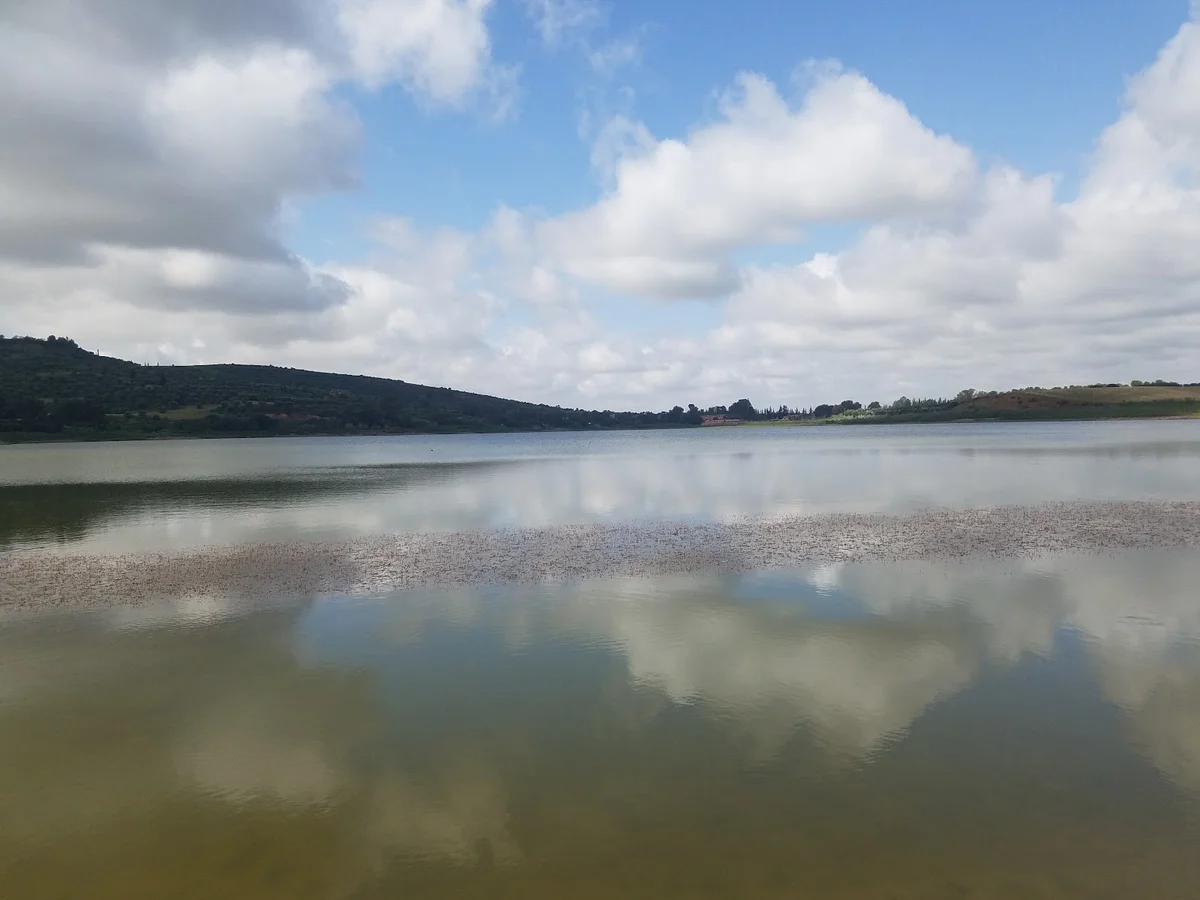 DAYET ROUMI (Lac) in Khemisset - Ask AI | mindtrip