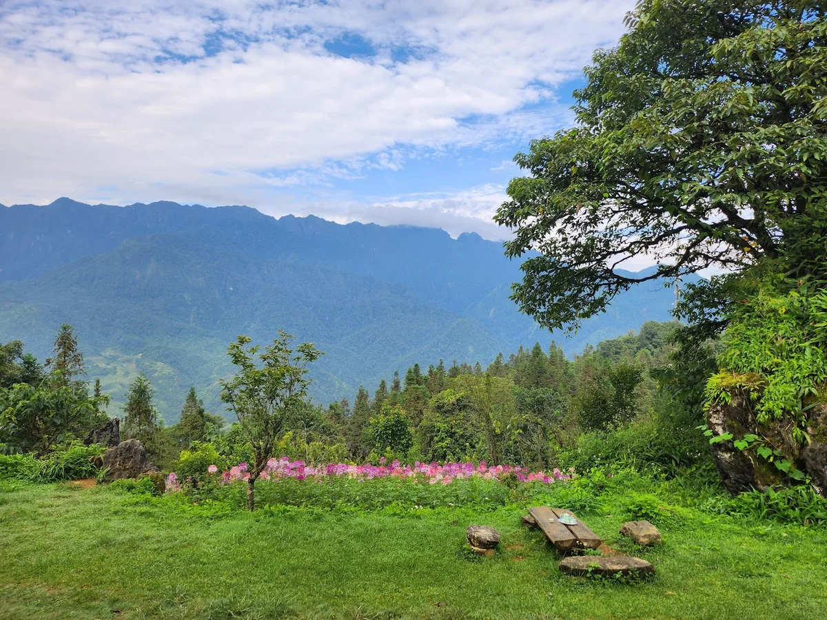 Ham Rong Park in Sapa, Lào Cai | What to Know Before You Go