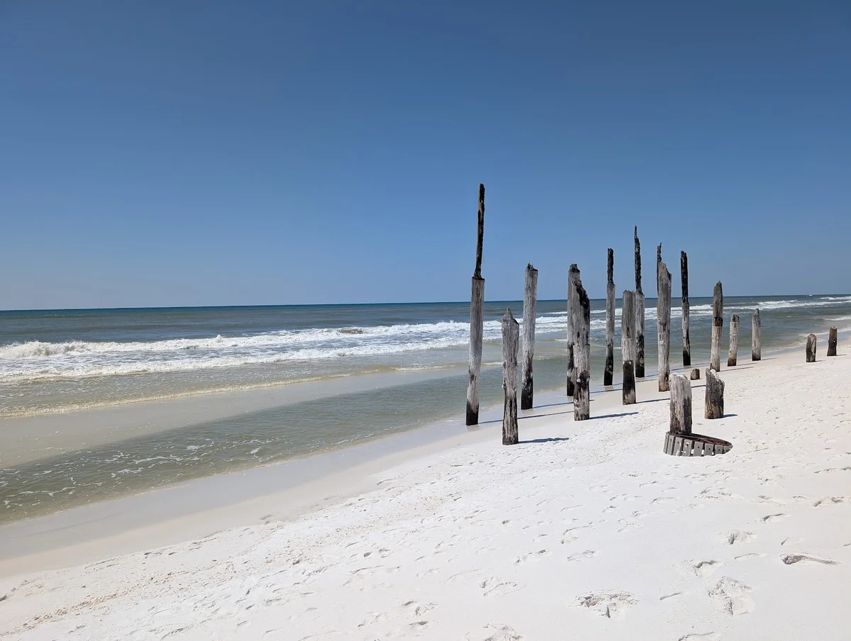 Shell Island Beach | What to Know Before You Go