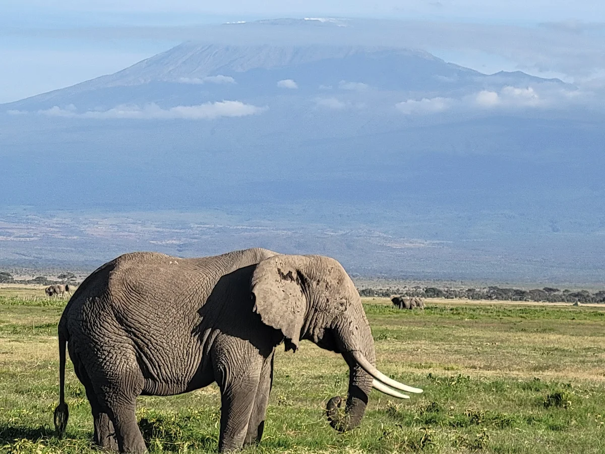 amboseli-national-park-what-to-know-before-you-go