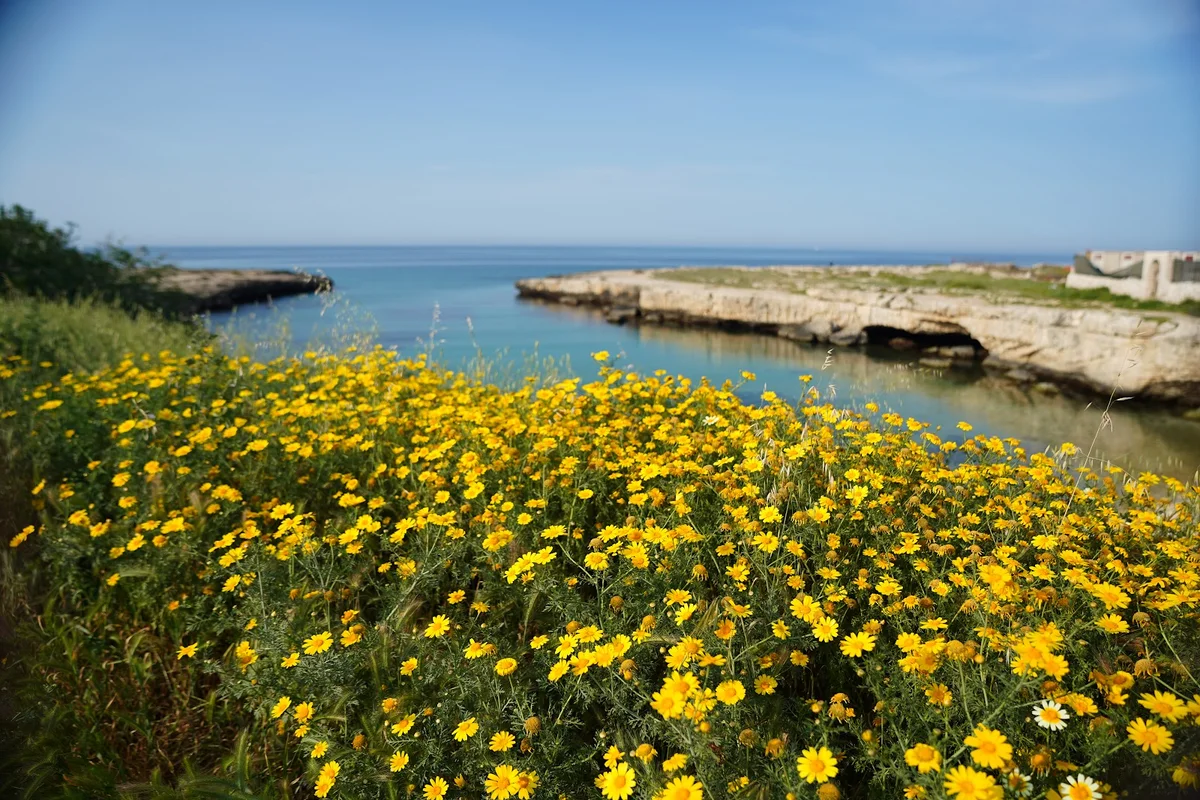 Cala Susca in Monopoli, Puglia | Ask Anything
