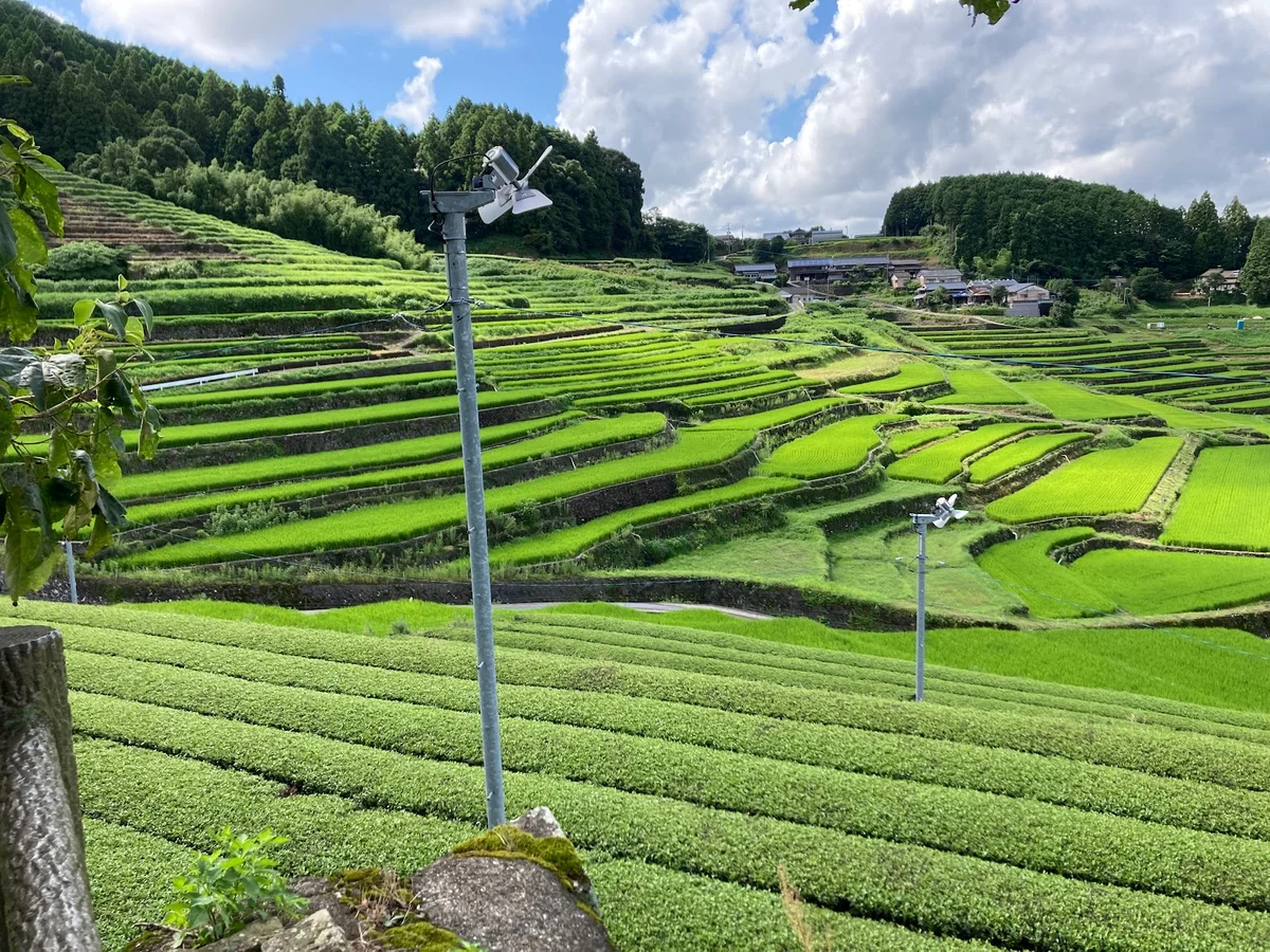 Onigi Rice Terraces in Hasami-cho - Ask AI | mindtrip