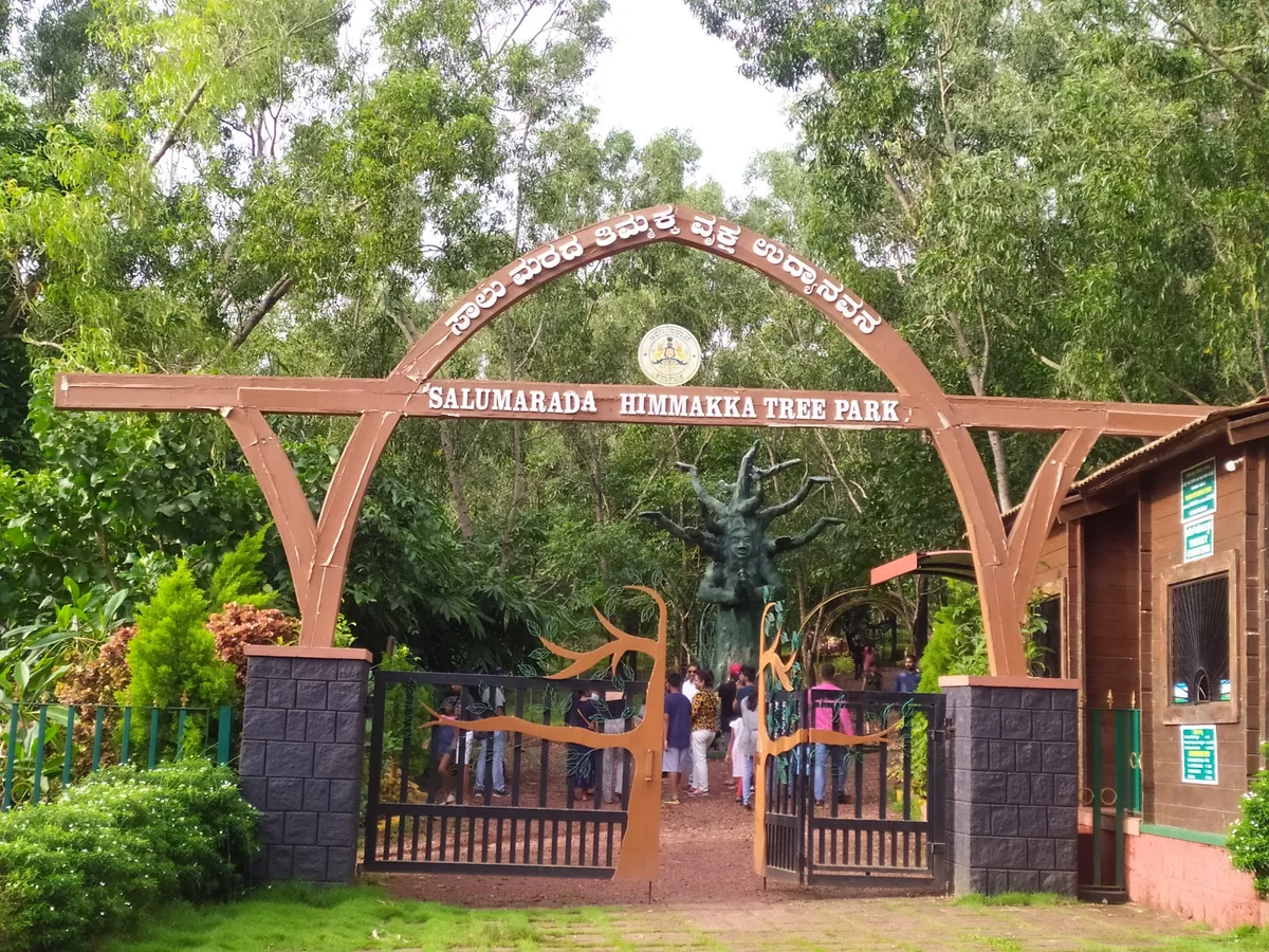 salumarada-thimmakka-tree-park-ask-ai-mindtrip