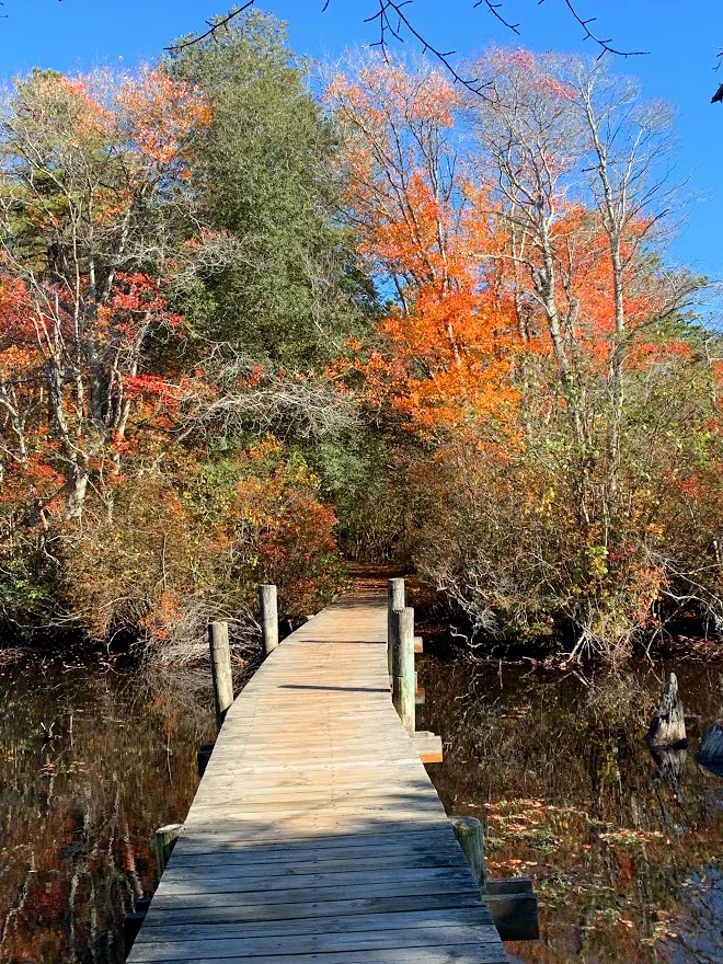 Quogue Wildlife Refuge in Quogue, New York | Ask Anything