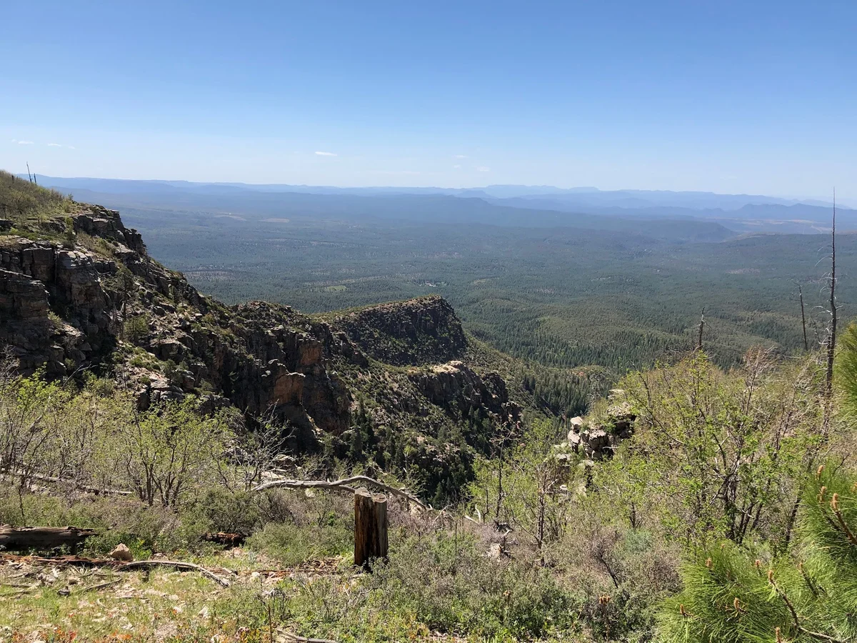 Mogollon Rim in Forest Lakes | What to Know Before You Go
