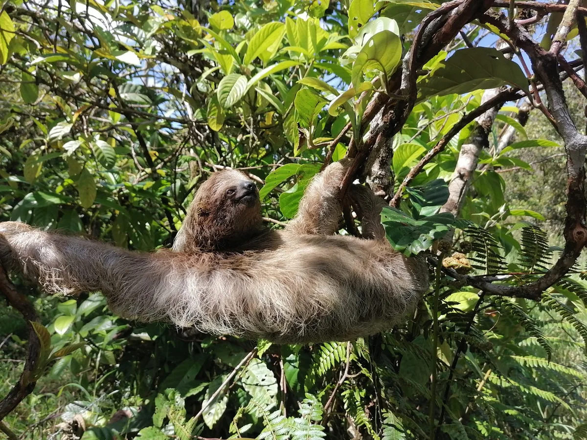 Samara Adventures in Samara | What to Know Before You Go