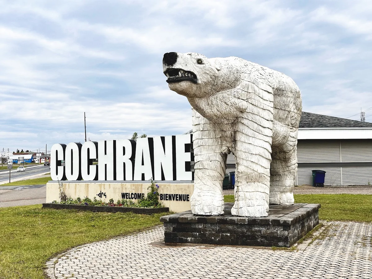 Chimo the Polar Bear in Cochrane, Ontario | Ask Anything