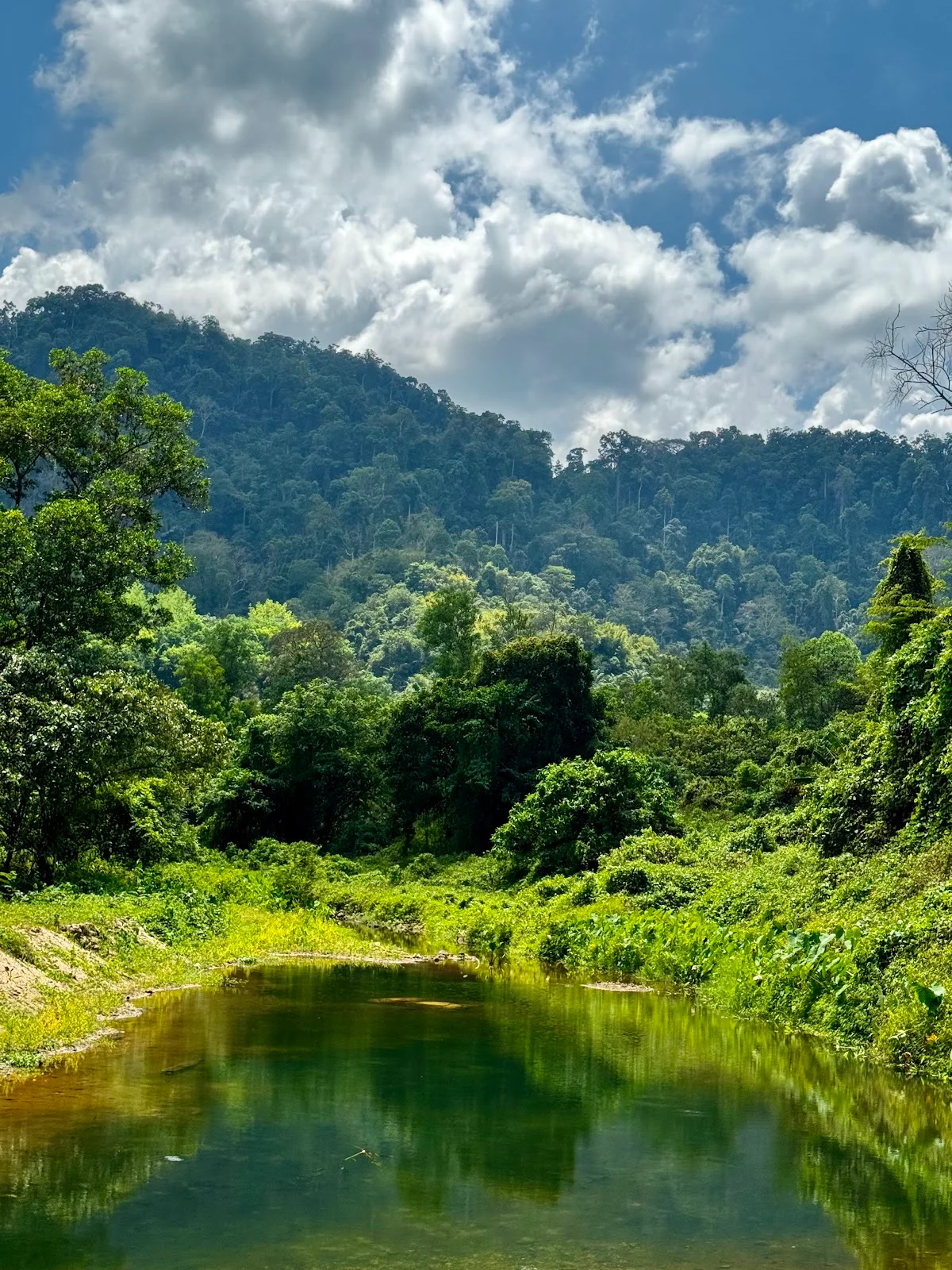 Kapong Hot Spring in Kapong, Phang Nga - Ask AI | mindtrip