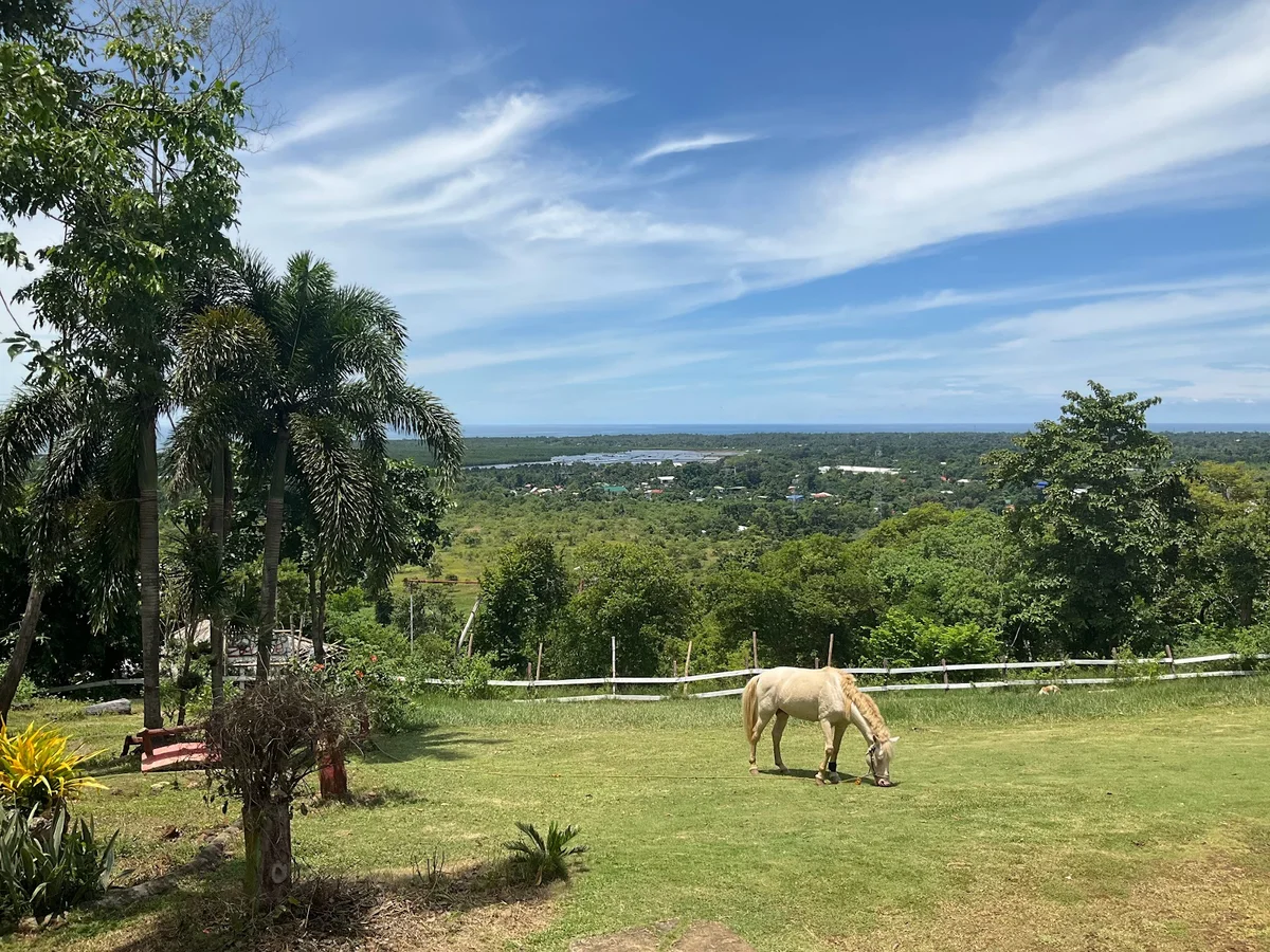 Mitra's Ranch | What to Know Before You Go