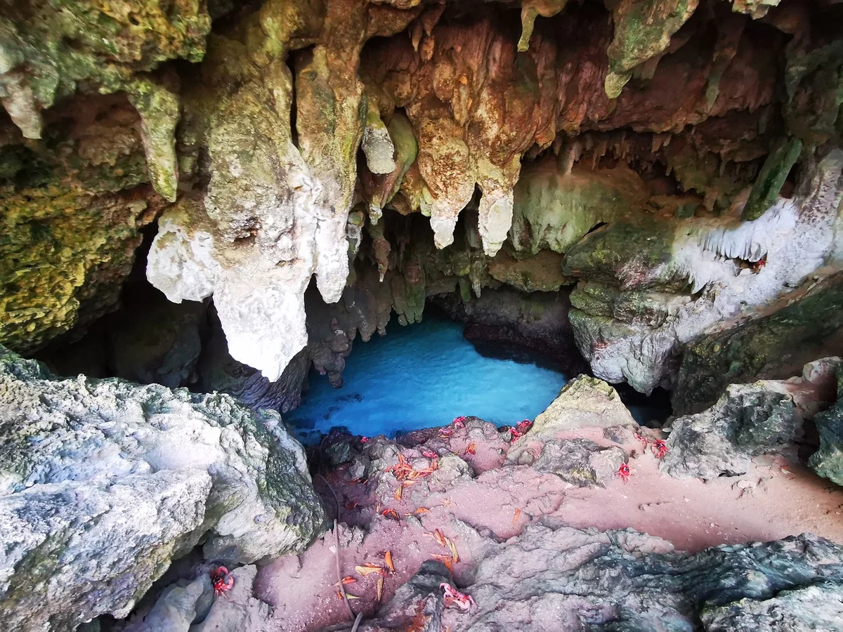 The Grotto in Flying Fish Cove | Ask Anything