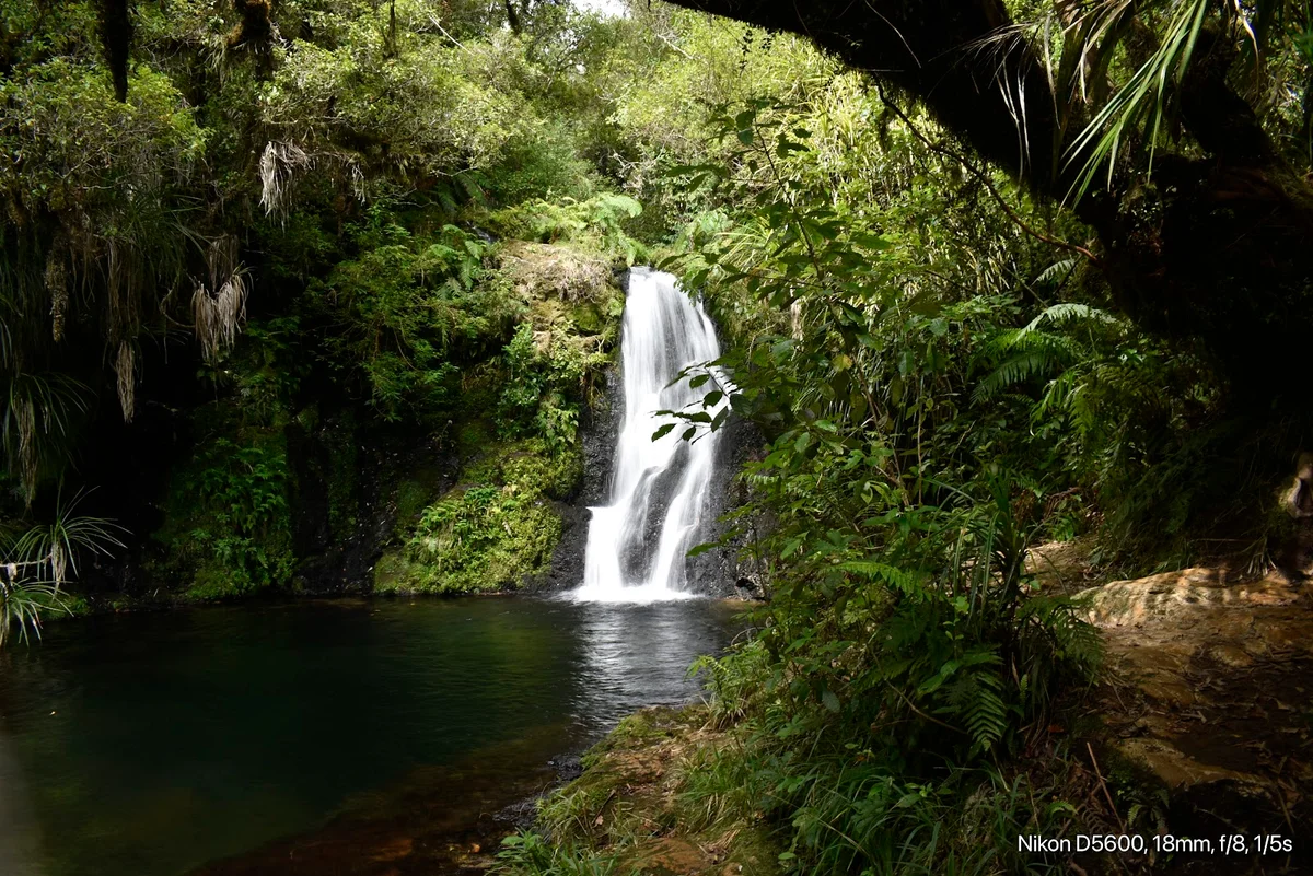 Whataroa Falls in Oropi | What to Know Before You Go