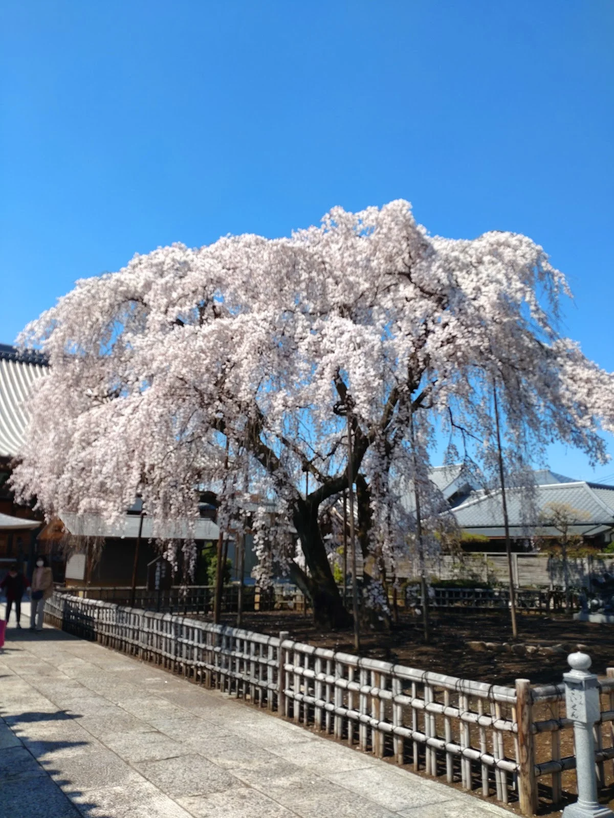 Enjoin in Saitama, Saitama Prefecture | Ask Anything