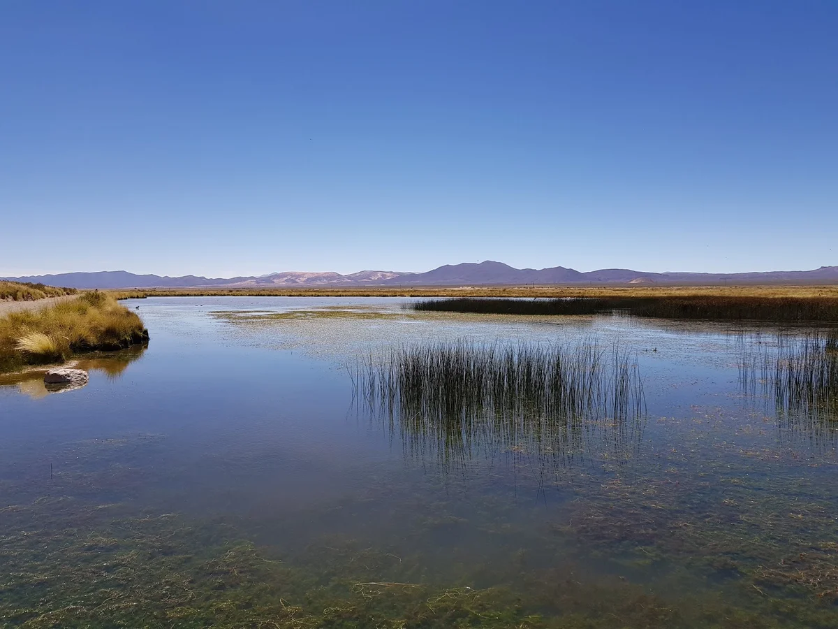Dunas del Huancar in Abra Pampa | Ask Anything