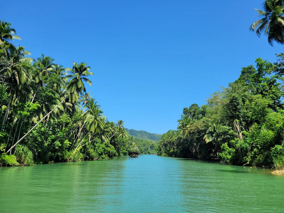 Loboc River Cruise in Loboc - Ask AI | mindtrip