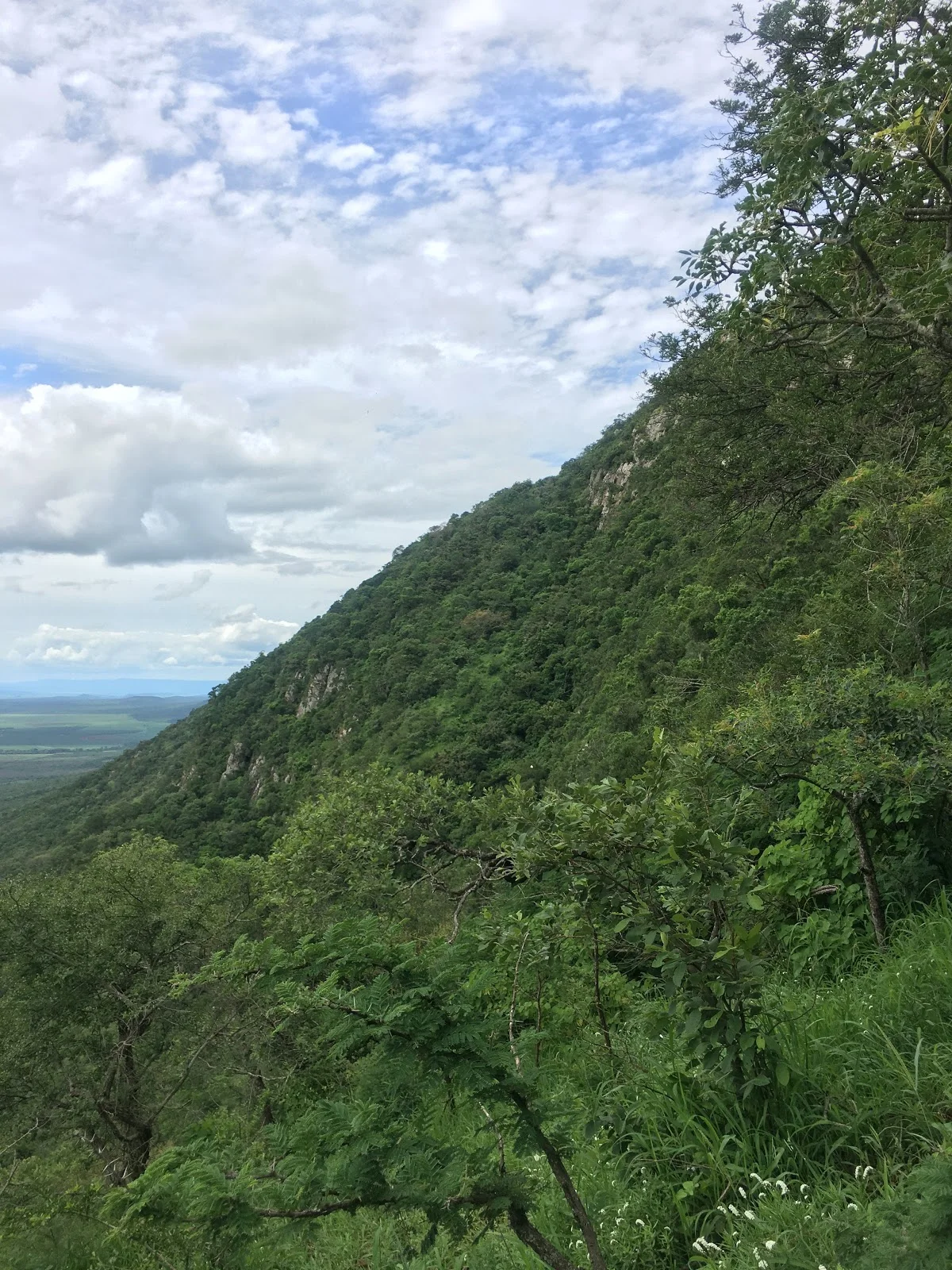 Lebombo Mountains in Simunye | What to Know Before You Go