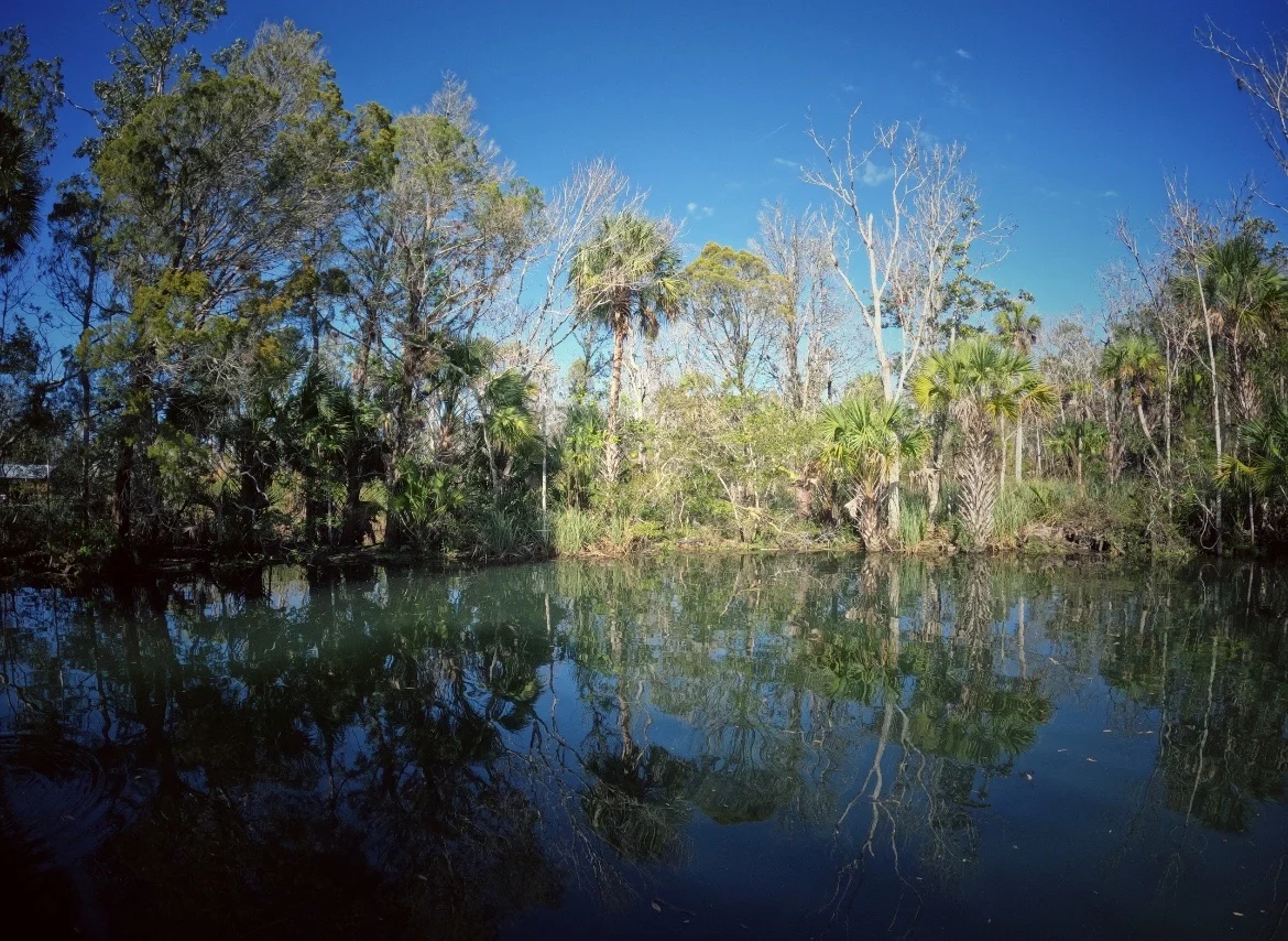 King Spring in Crystal River, Florida - Ask AI | mindtrip