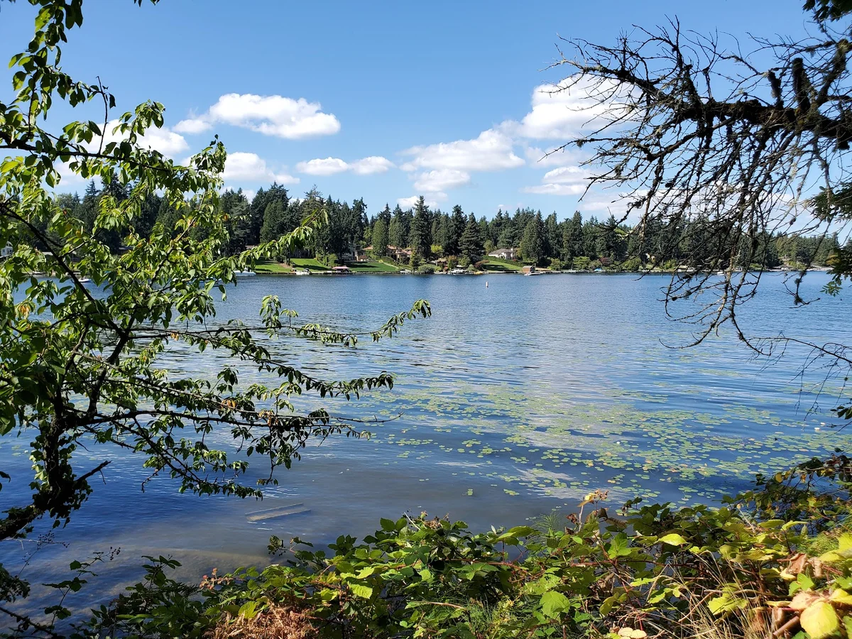 Wetherill Nature Preserve - Ask AI | mindtrip