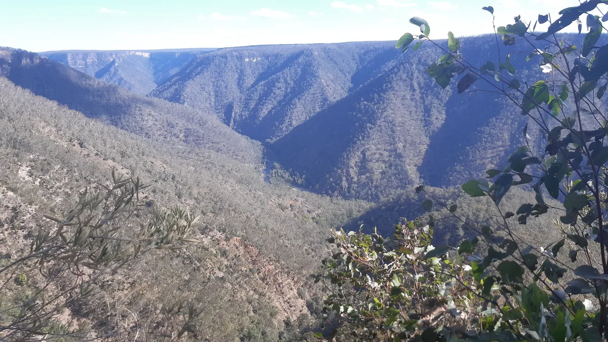 Badgerys Spur walking track in Tallong | Ask Anything