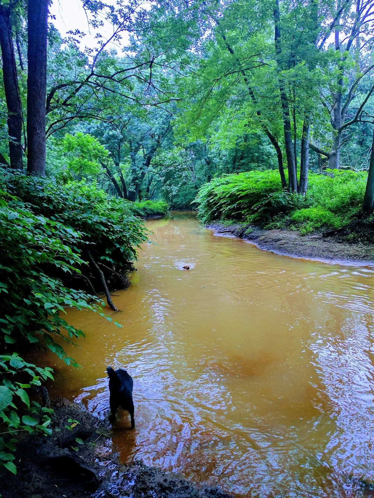 Crows Woods Loop in Haddonfield - Ask AI | mindtrip