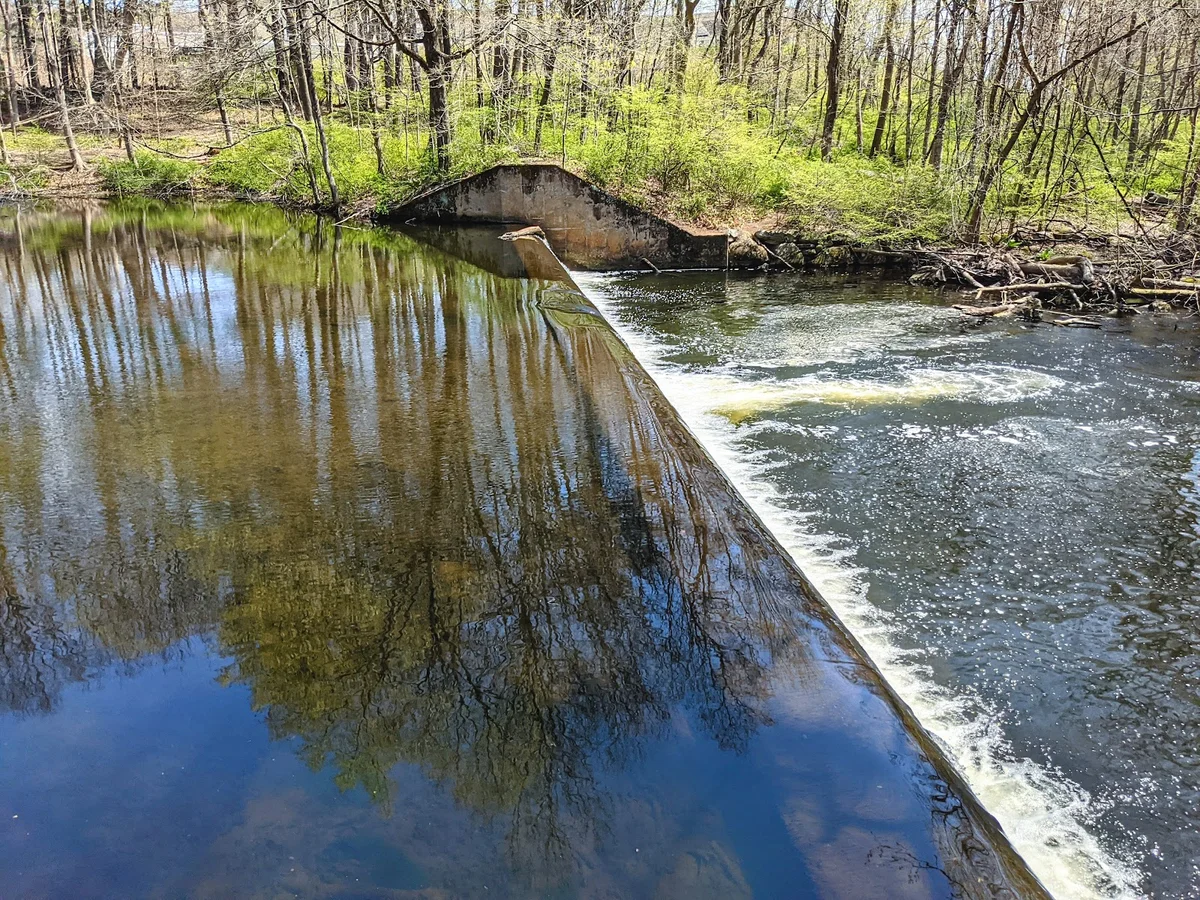Merwin Meadows Park in Wilton | What to Know Before You Go