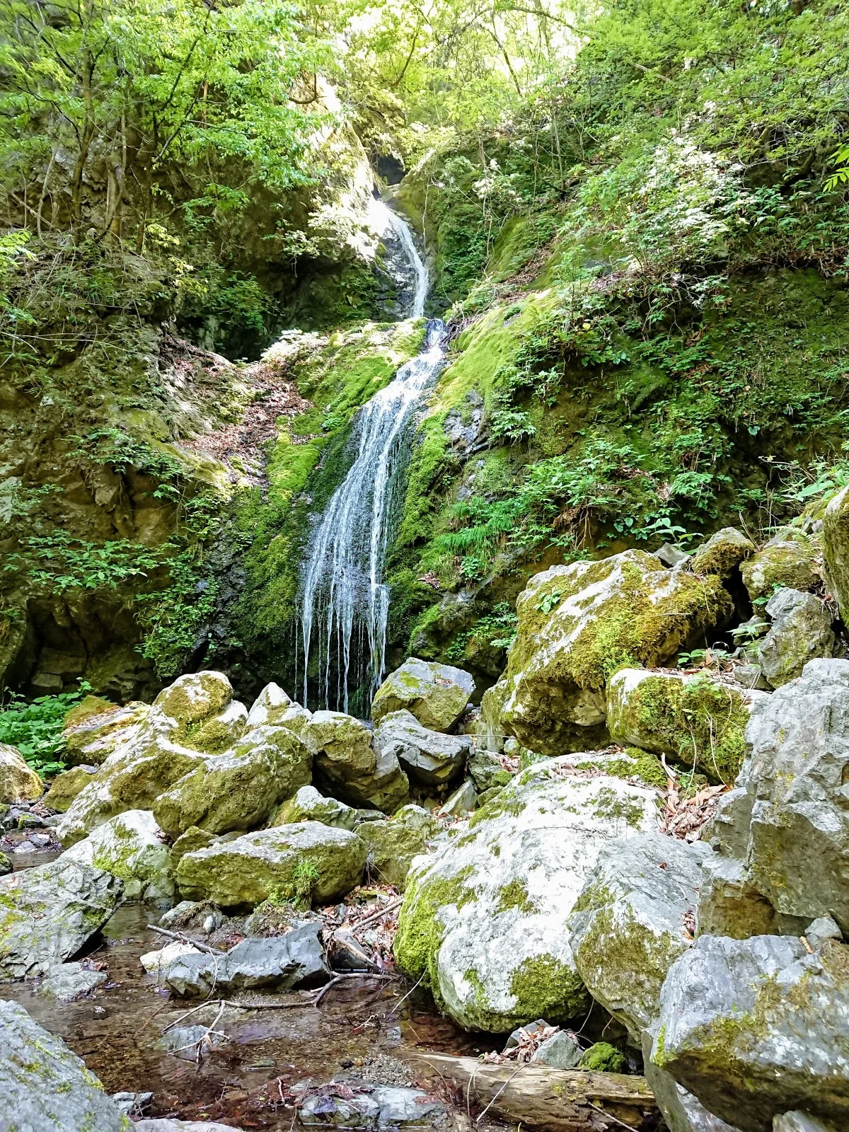 Gohangyo Waterfall in Okutama-machi - Ask AI | mindtrip