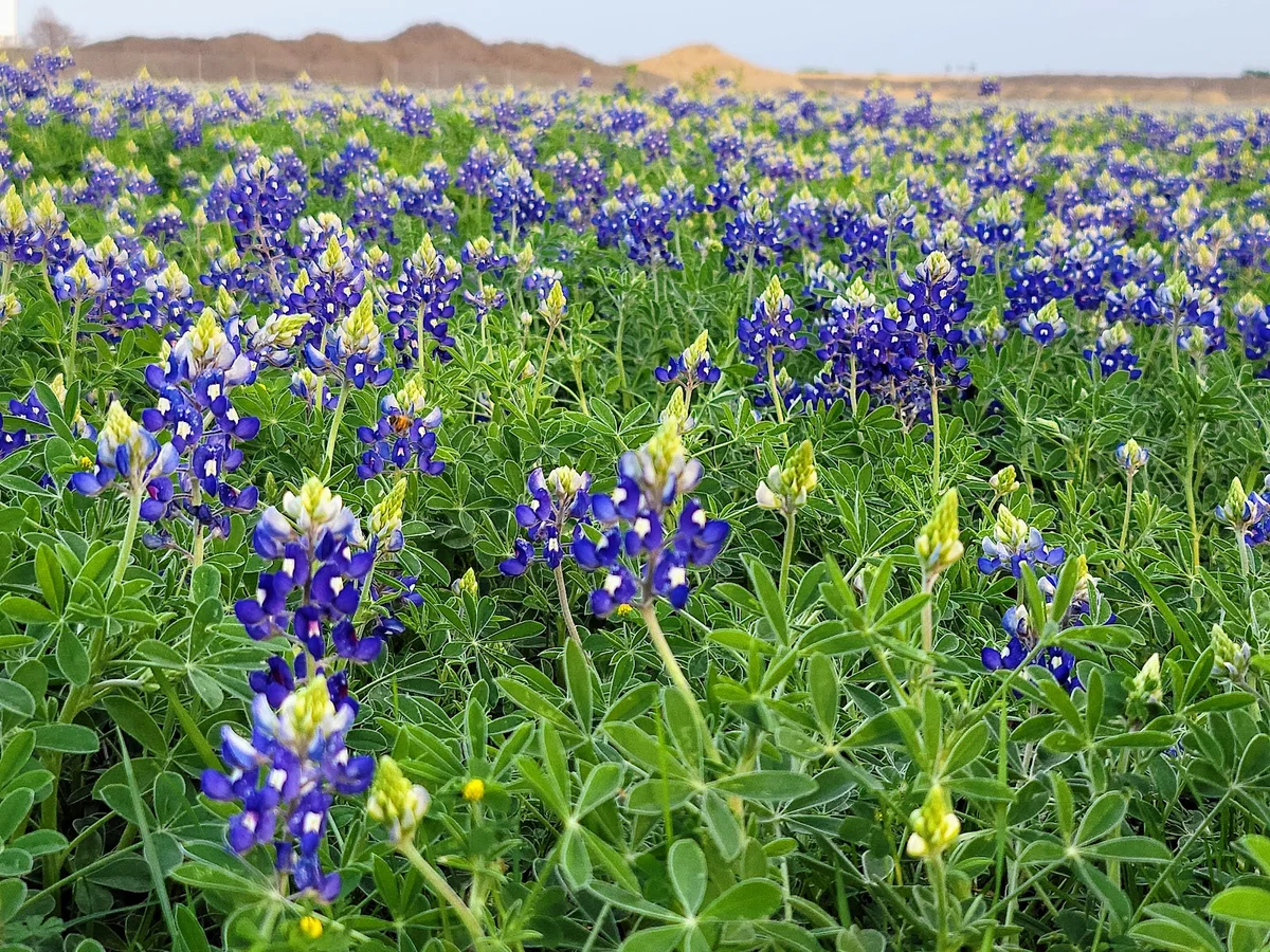Lake Kyle Park in Kyle, Texas | Ask Anything