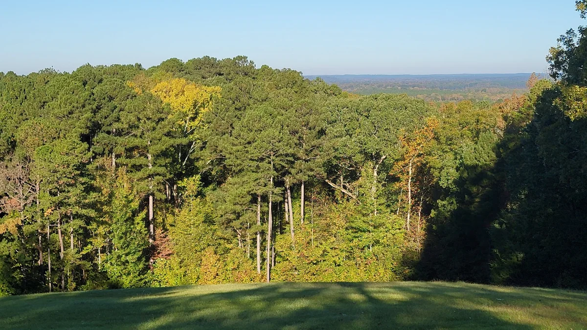 Little Mountain in Ackerman, Mississippi - Ask AI | mindtrip