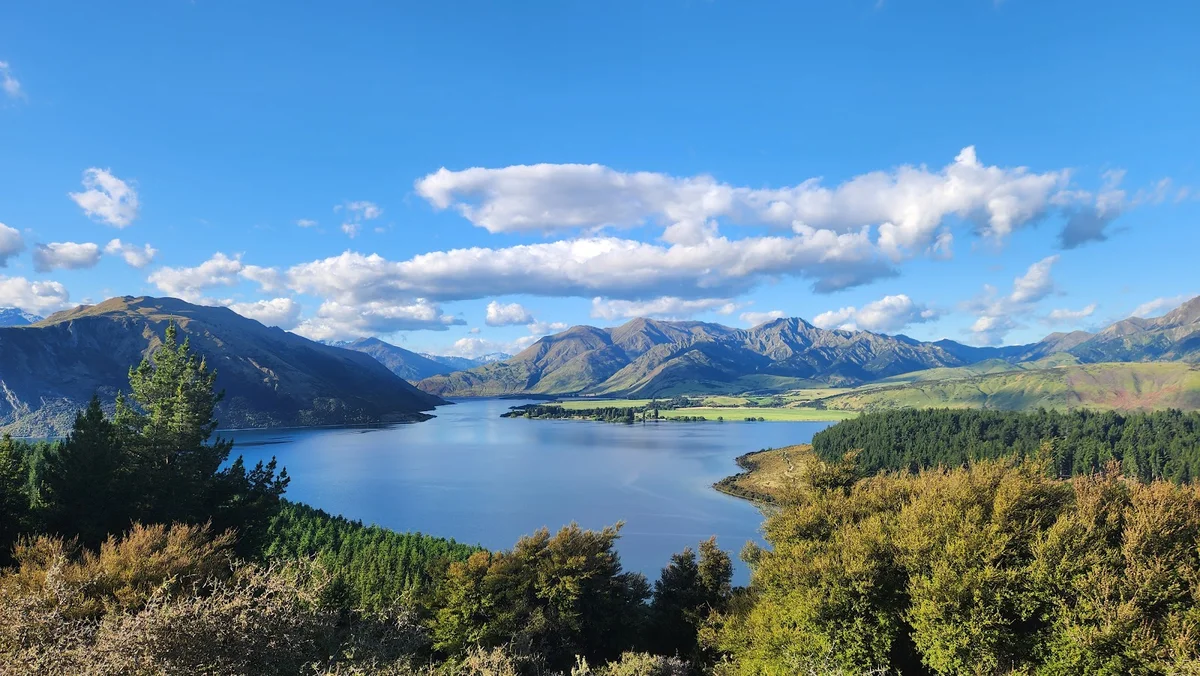 Sticky Forest in Wanaka, Otago | What to Know Before You Go
