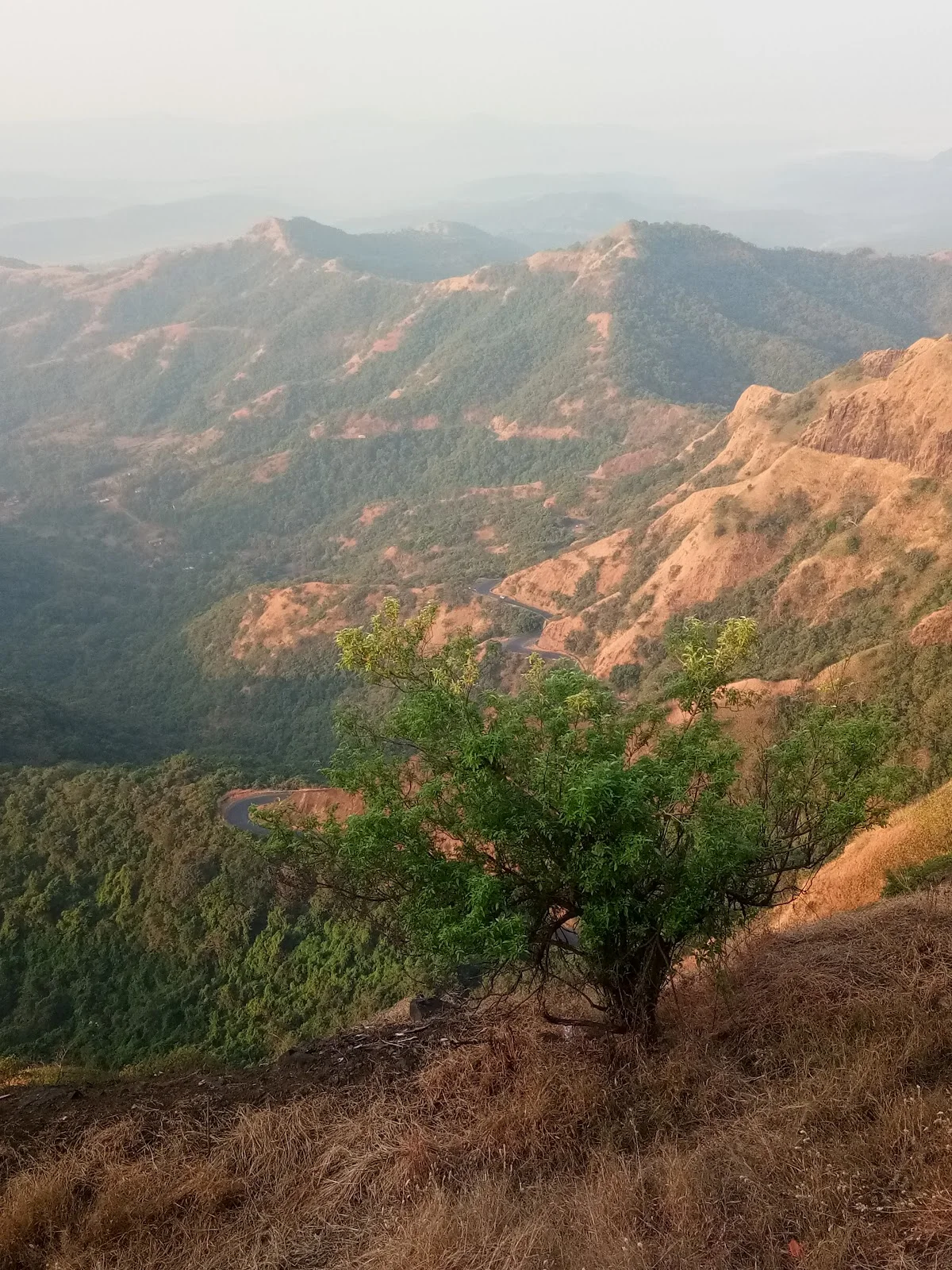 Gagangiri Maharaj Math | What to Know Before You Go