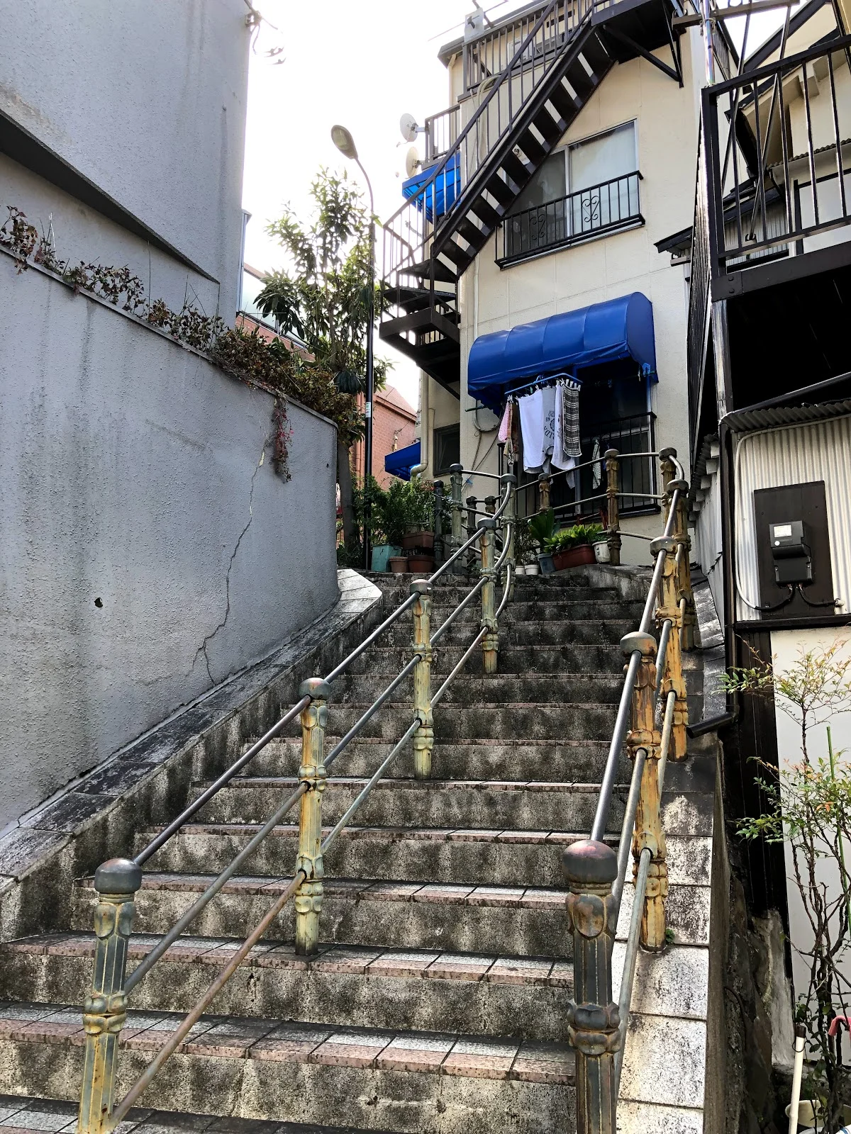 Komasaka in Tokyo, Tokyo Prefecture - Ask AI | mindtrip
